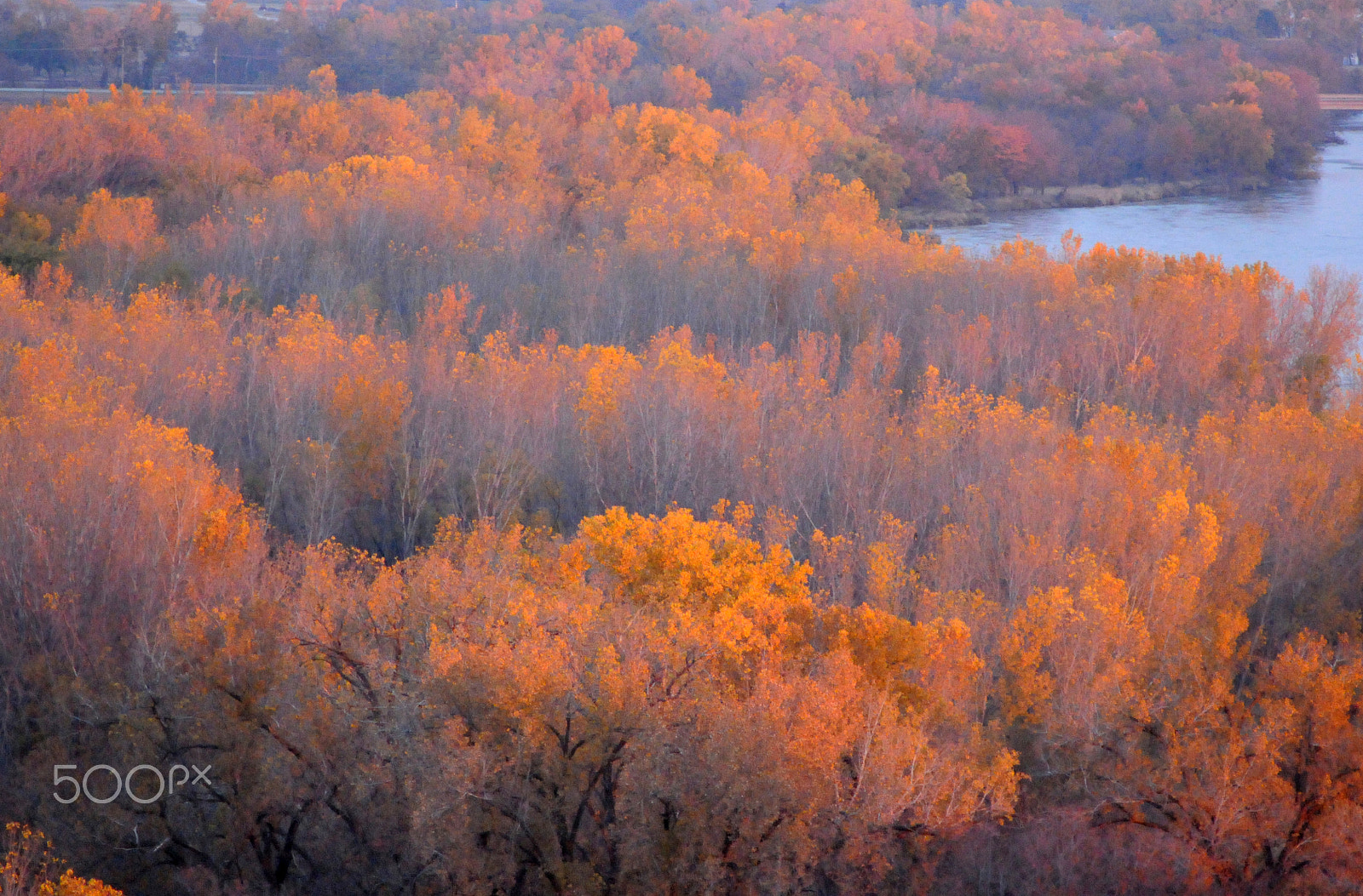Nikon D300 sample photo. Tower trees-horizon photography