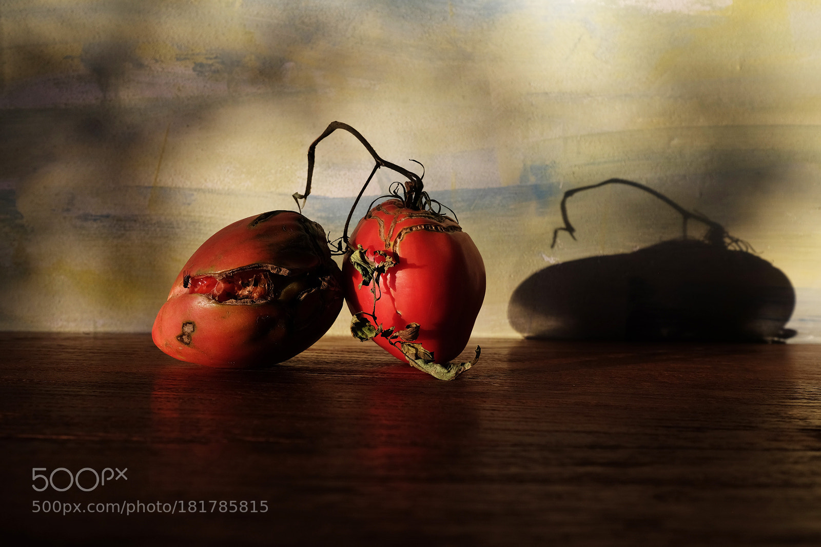 Fujifilm X-E2 sample photo. Tomatoes photography