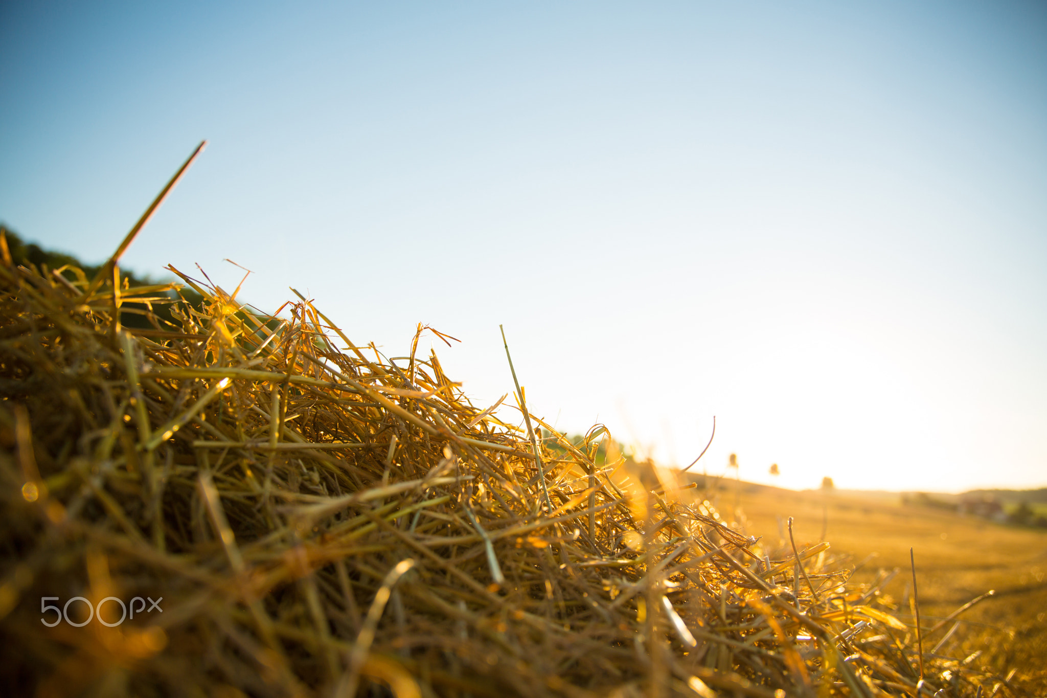 Hay in the sunset