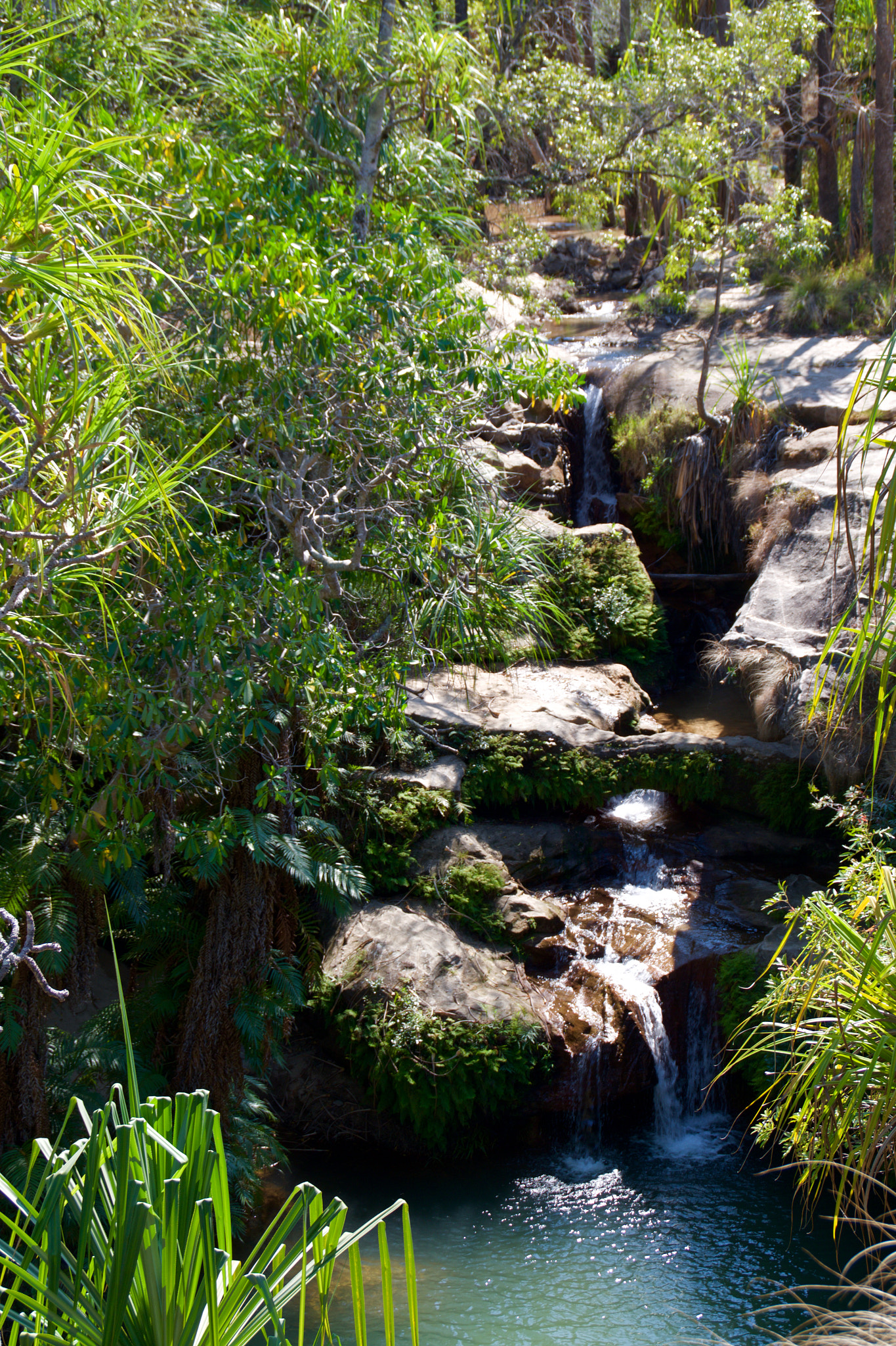 Tamron AF 18-200mm F3.5-6.3 XR Di II LD Aspherical (IF) Macro sample photo. Green pool photography