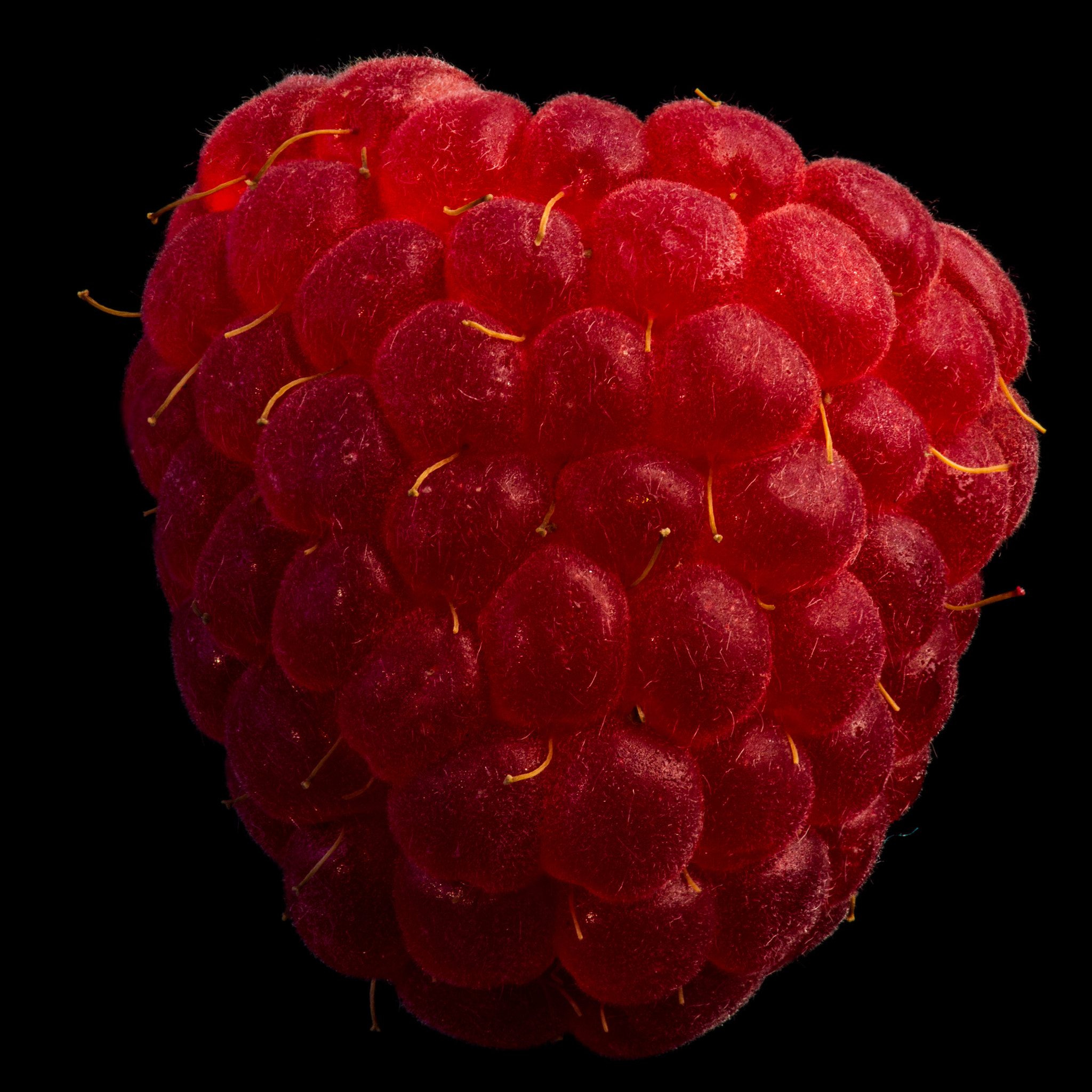 Raspberry