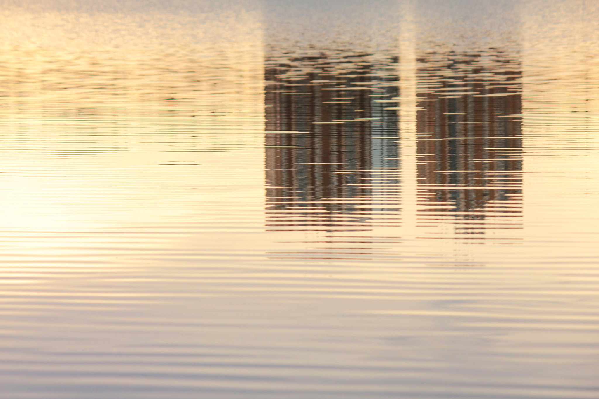 Towering Reflections