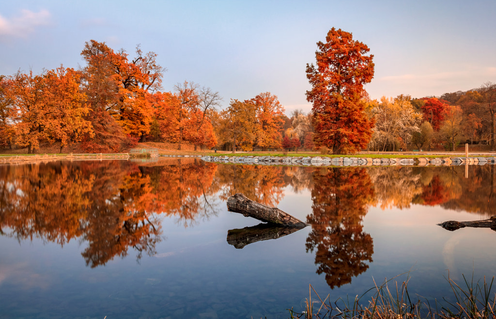 Latest autumn moments by Milan Chudoba on 500px.com