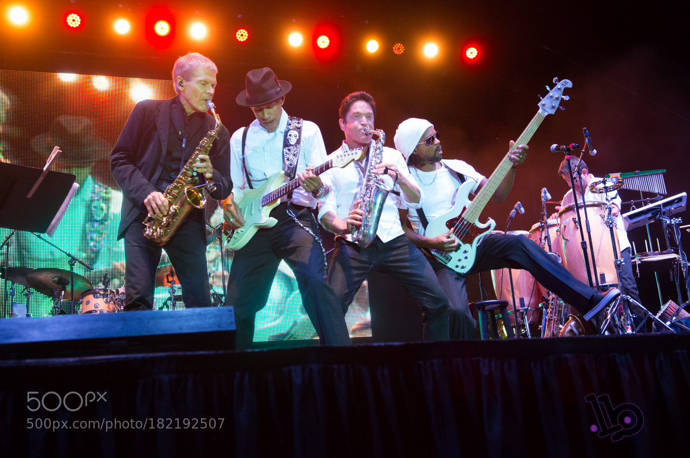Nikon D800 sample photo. Dave sandborn, dave koz photography