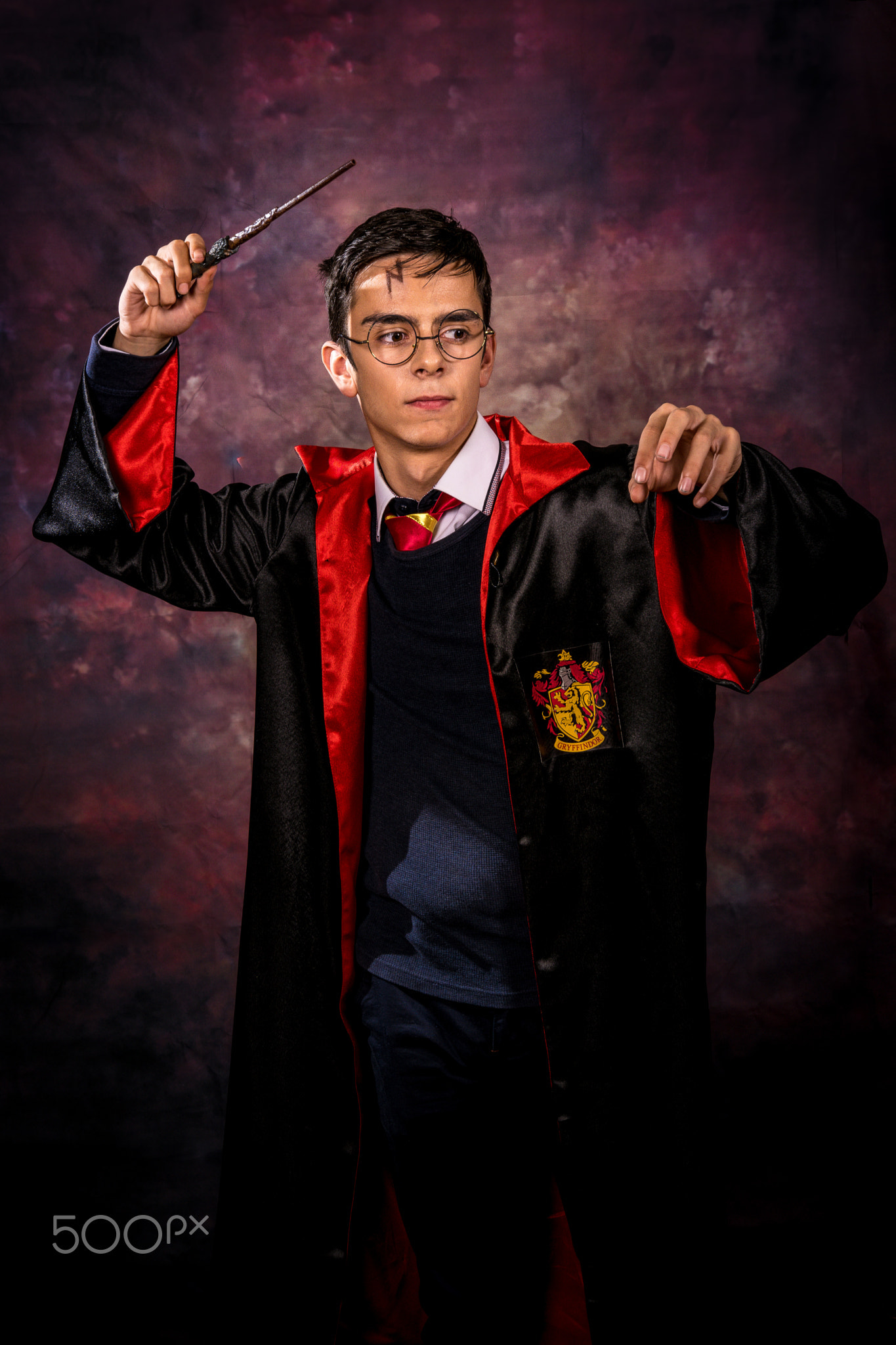 Harry Potter Portrait