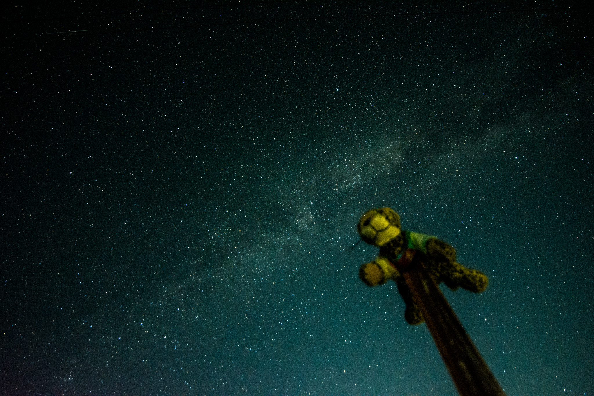 Samyang 14mm F2.8 ED AS IF UMC sample photo. Dsc photography