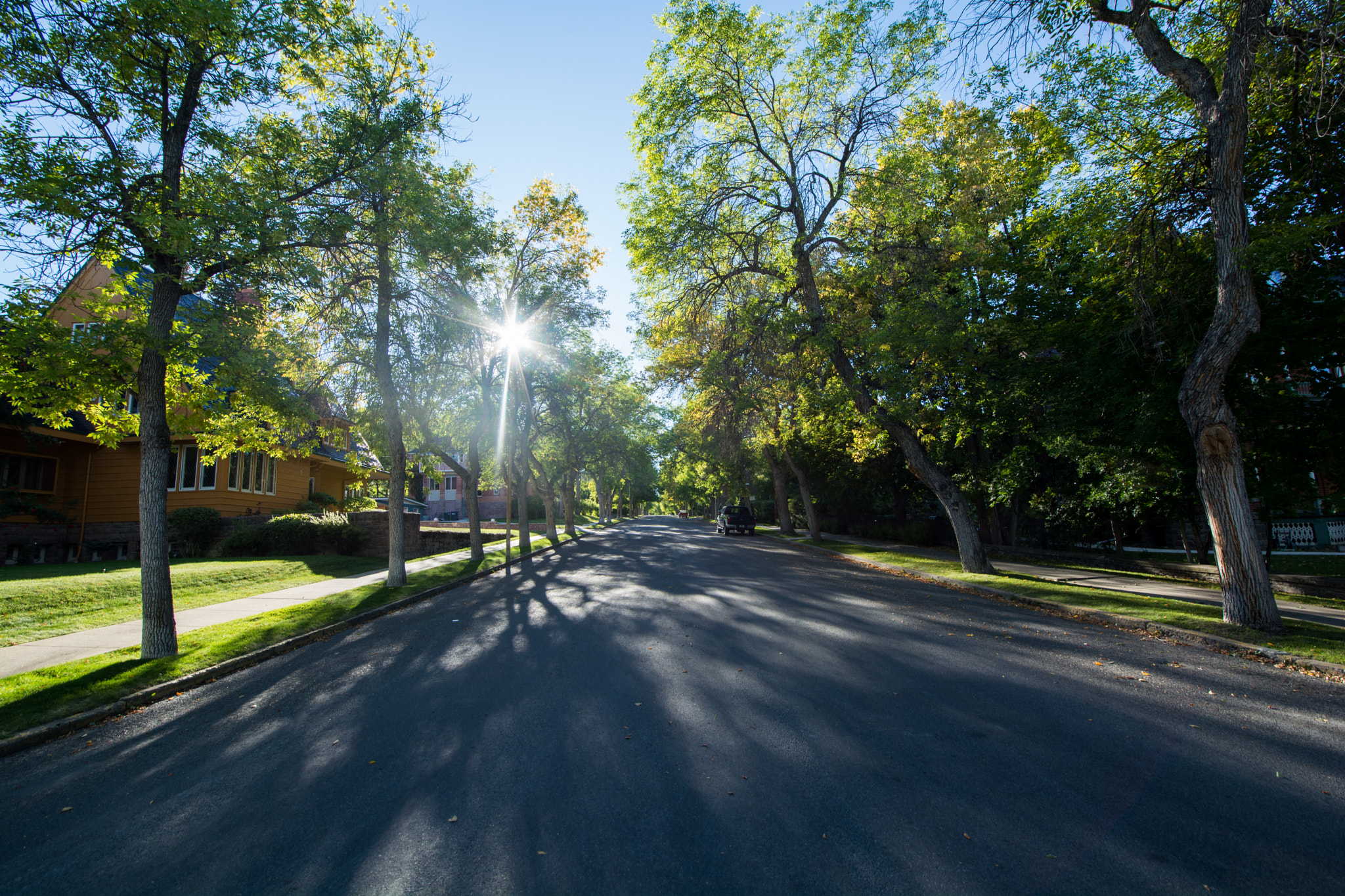 Samyang 14mm F2.8 ED AS IF UMC sample photo. Dsc photography