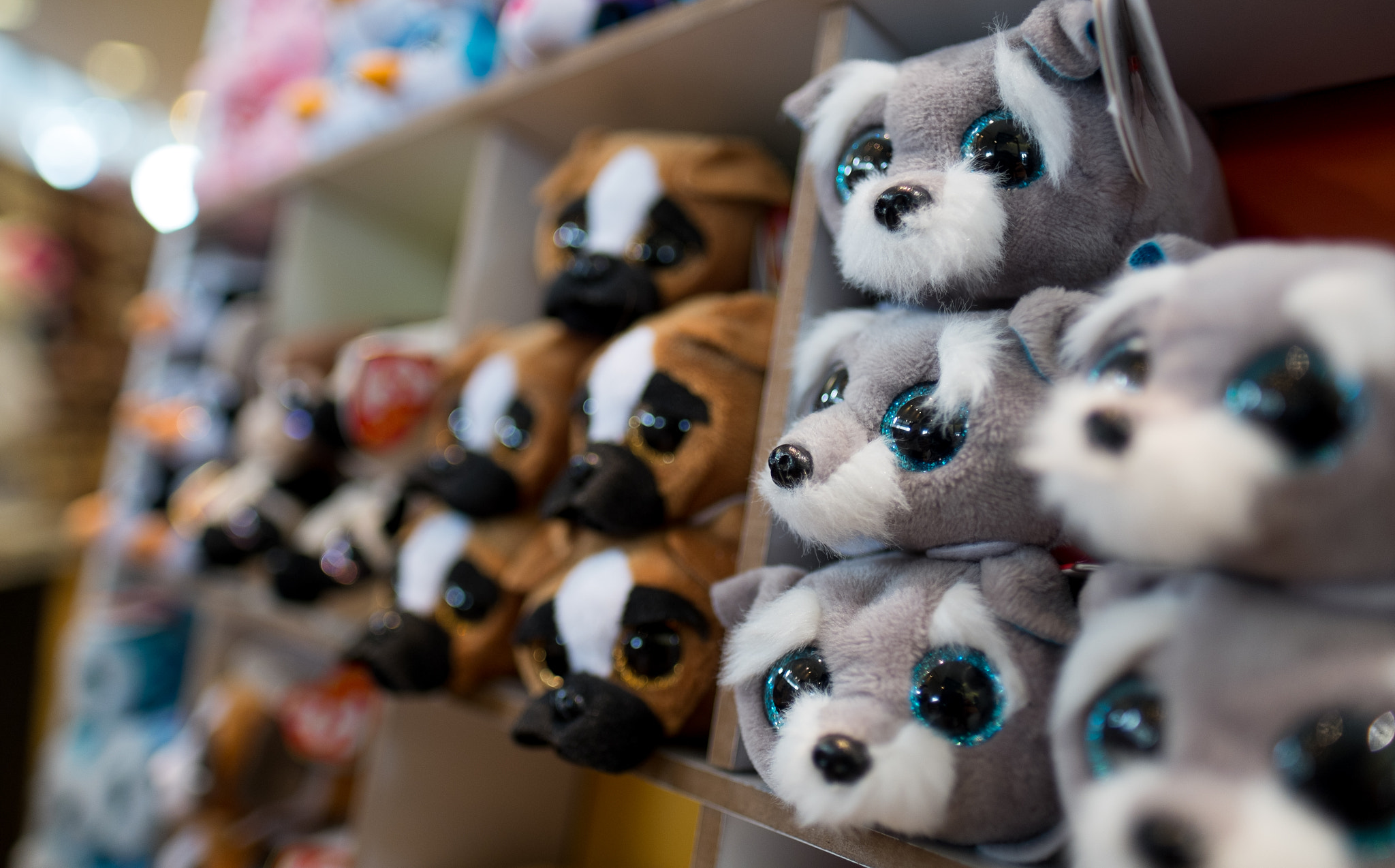 Fujifilm X-Pro1 + Fujifilm XF 16mm F1.4 R WR sample photo. Dscf photography