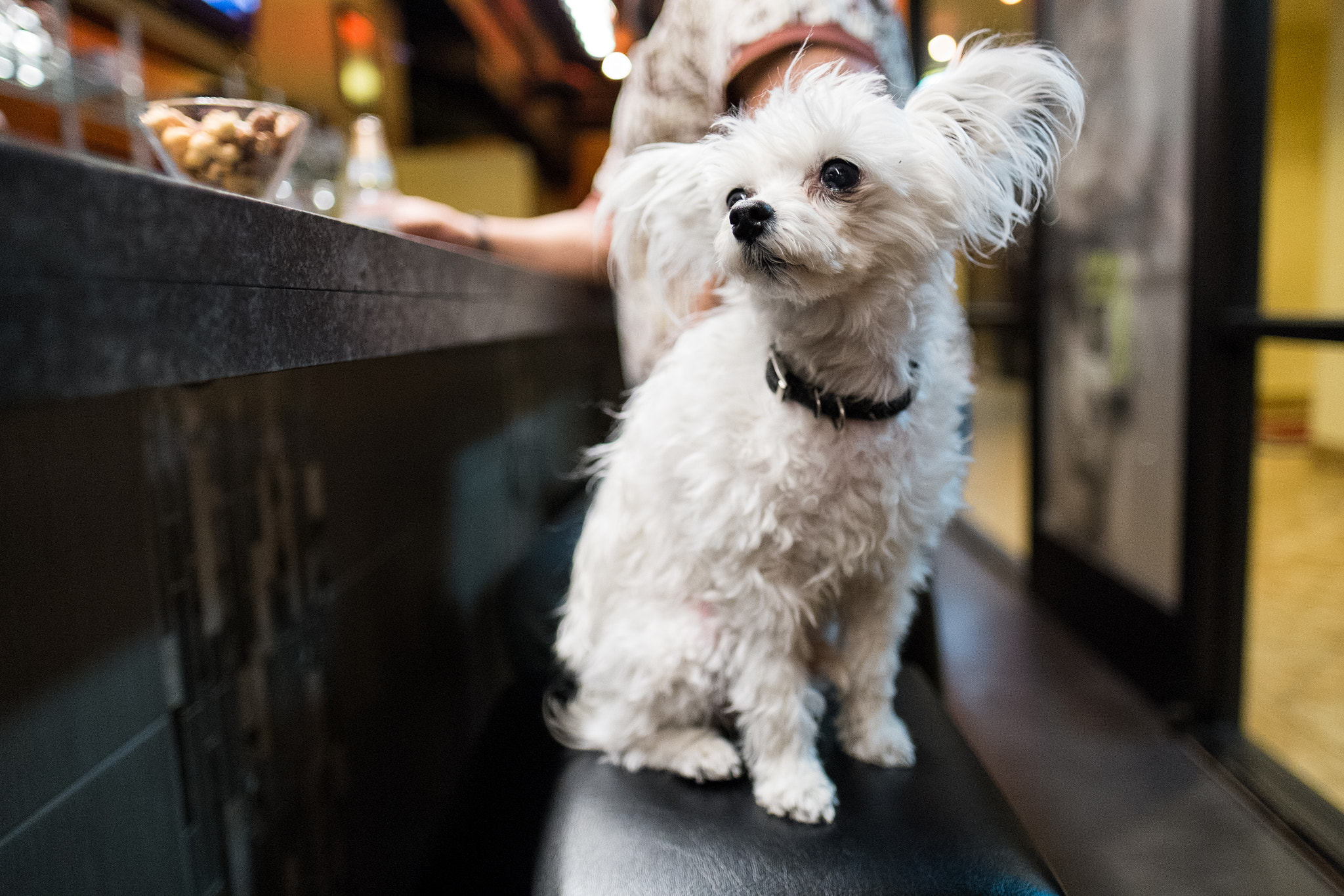 Fujifilm X-Pro1 + Fujifilm XF 16mm F1.4 R WR sample photo. Dscf photography
