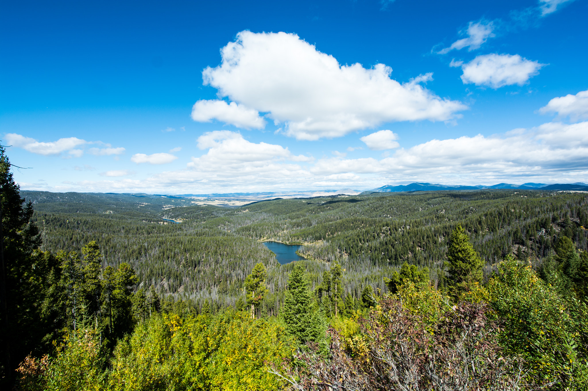 Samyang 14mm F2.8 ED AS IF UMC sample photo. Dsc photography