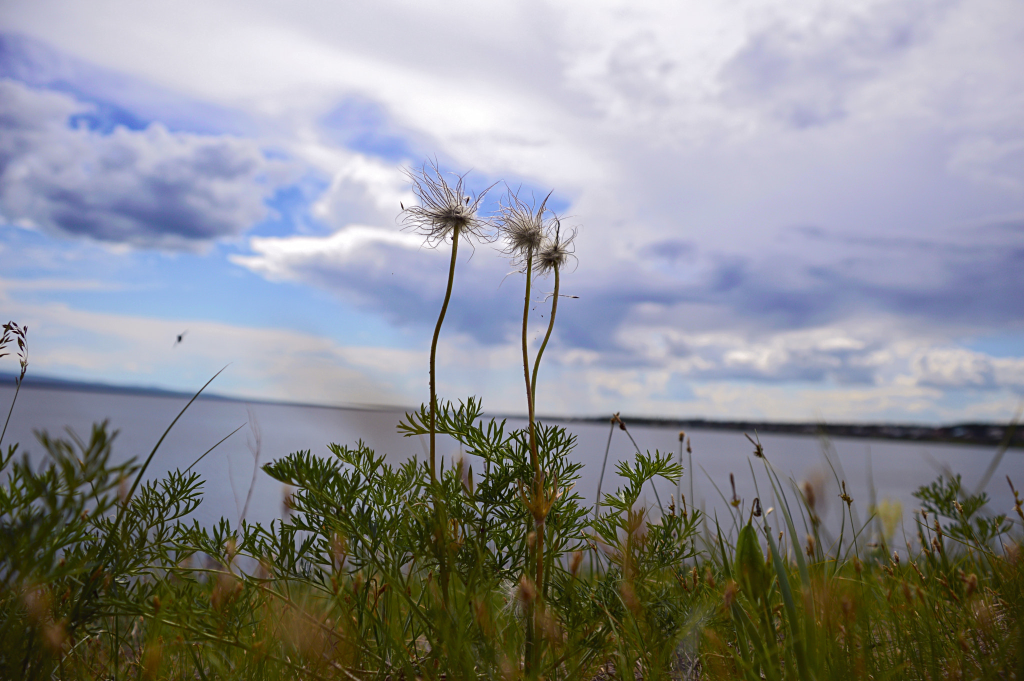 Nikon D3200 sample photo. 0009 photography