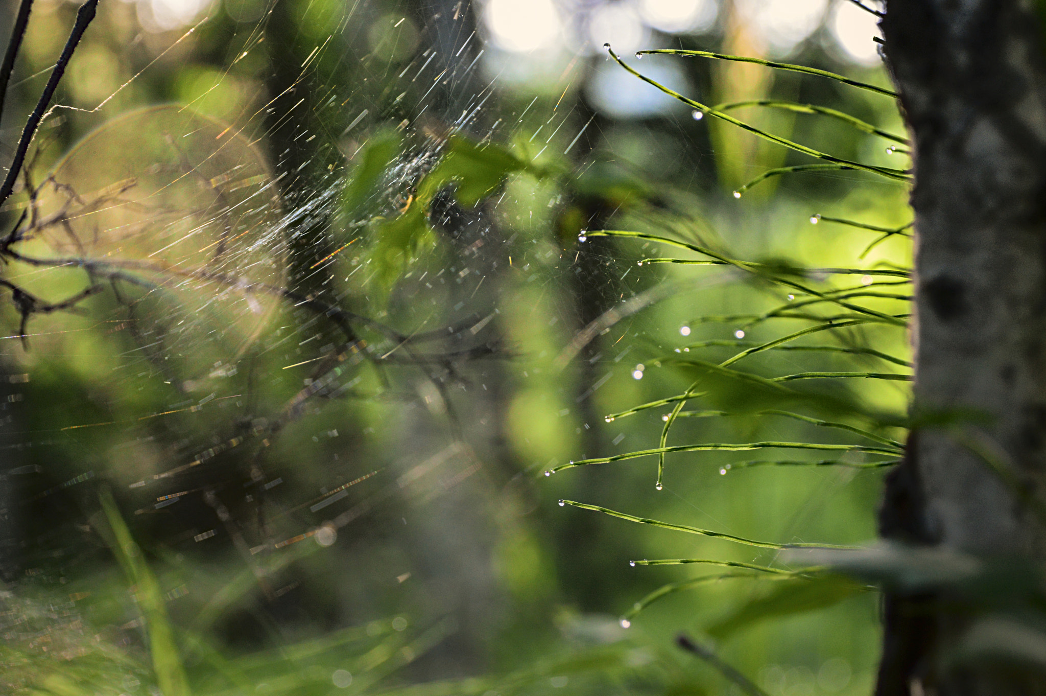 Nikon D3200 sample photo. 112 photography