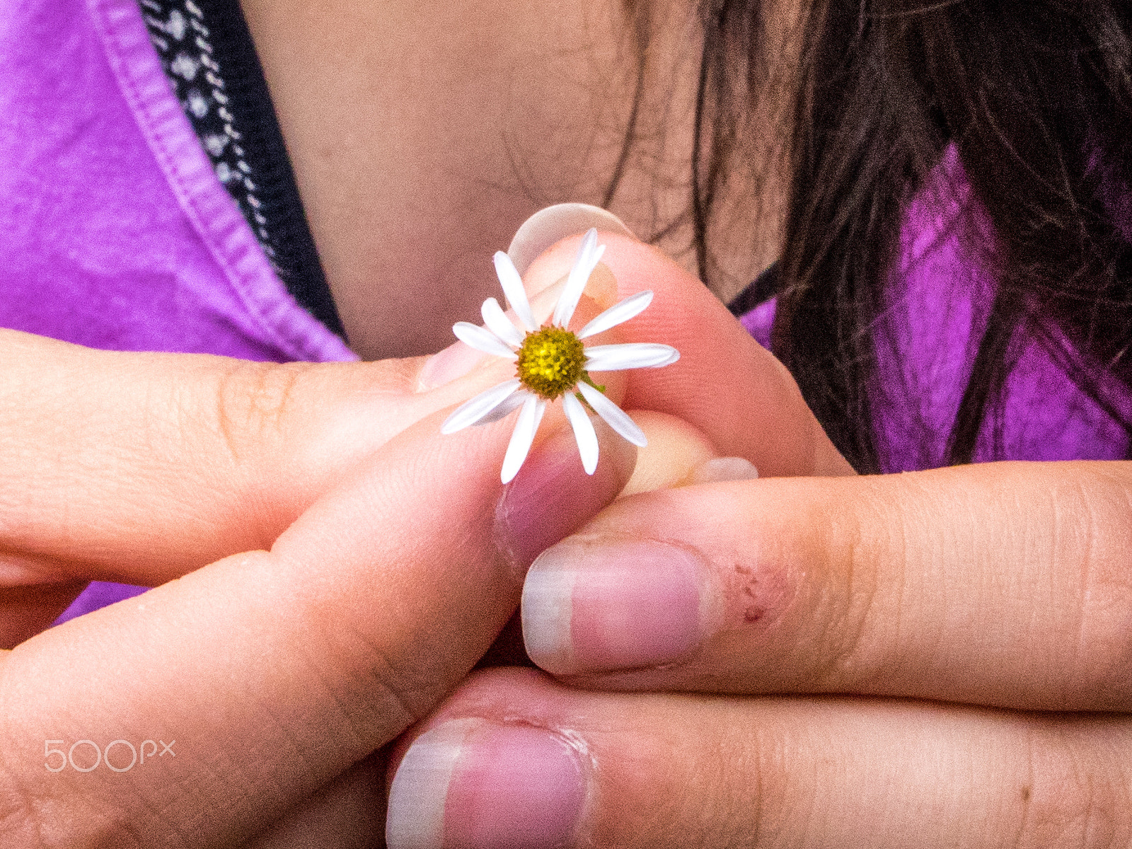 Panasonic Lumix DMC-GH4 sample photo. Tiny flower photography