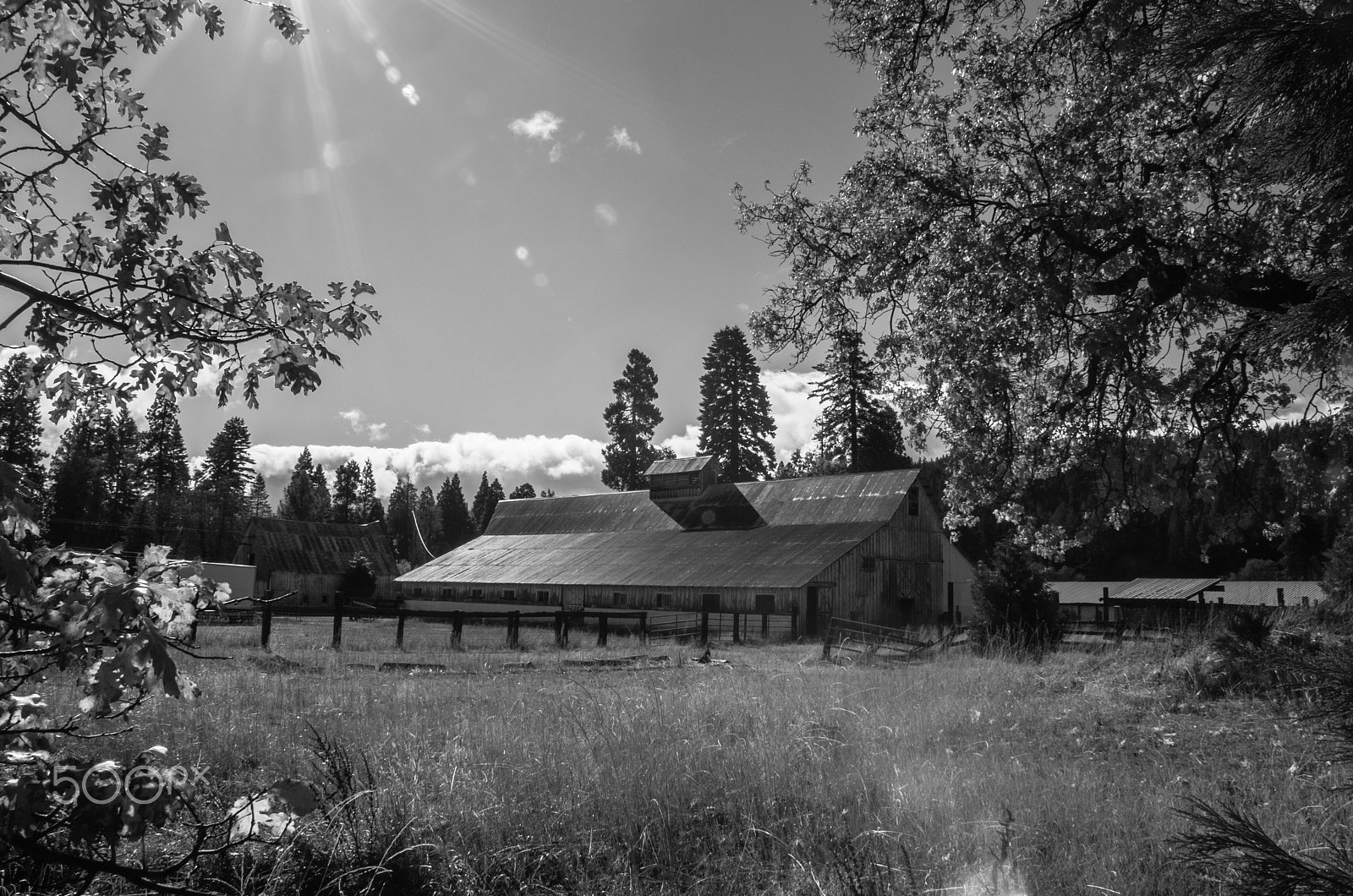 Panasonic Lumix DMC-GH4 sample photo. B&w large barn photography
