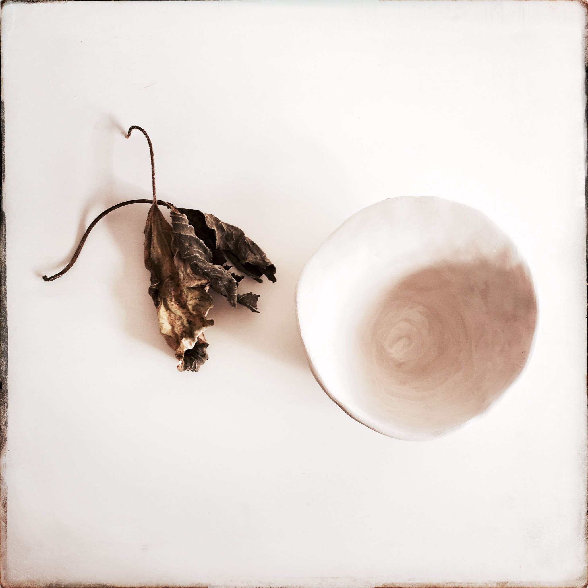 Hipstamatic 322 sample photo. The white bowl photography