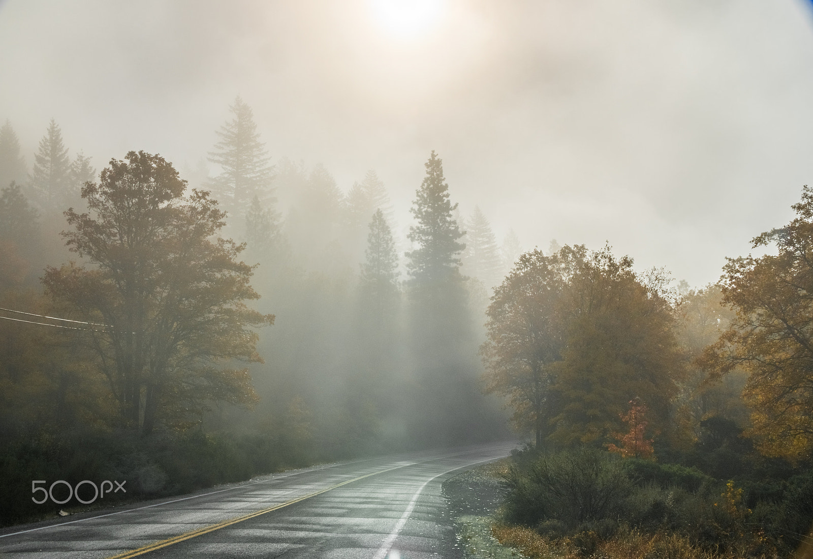 Panasonic Lumix DMC-GH4 sample photo. Foggy fall morning (h) photography