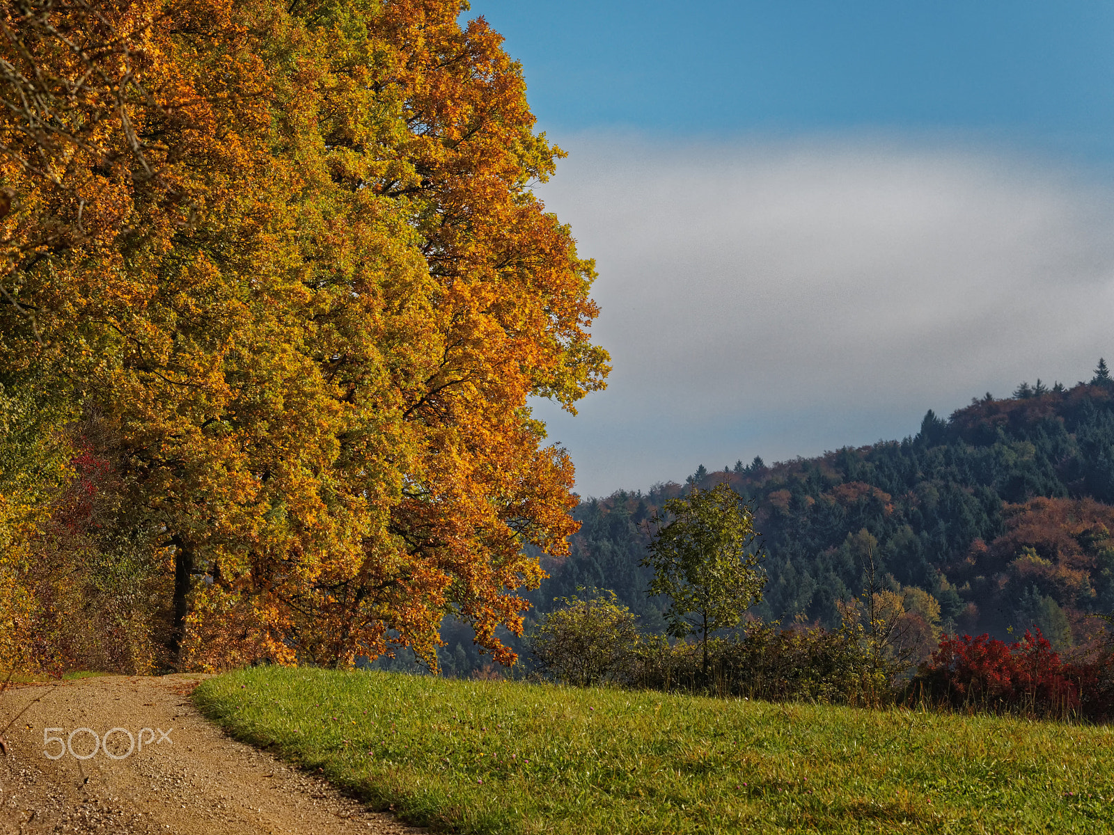 Olympus OM-D E-M1 sample photo. Herbstfarben photography