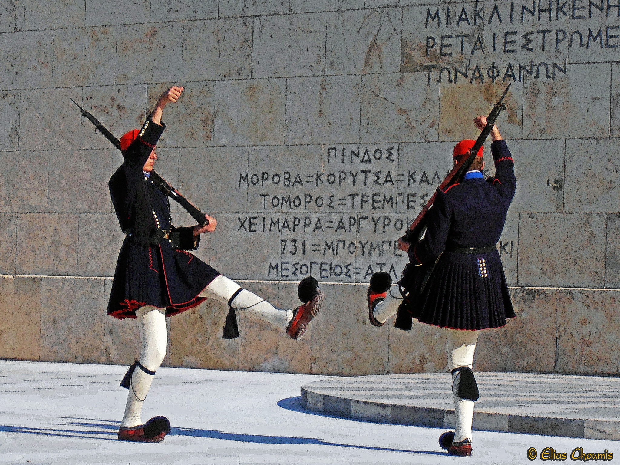Olympus VR310,D720 sample photo. Taste from greece. presidential guard in athens. photography