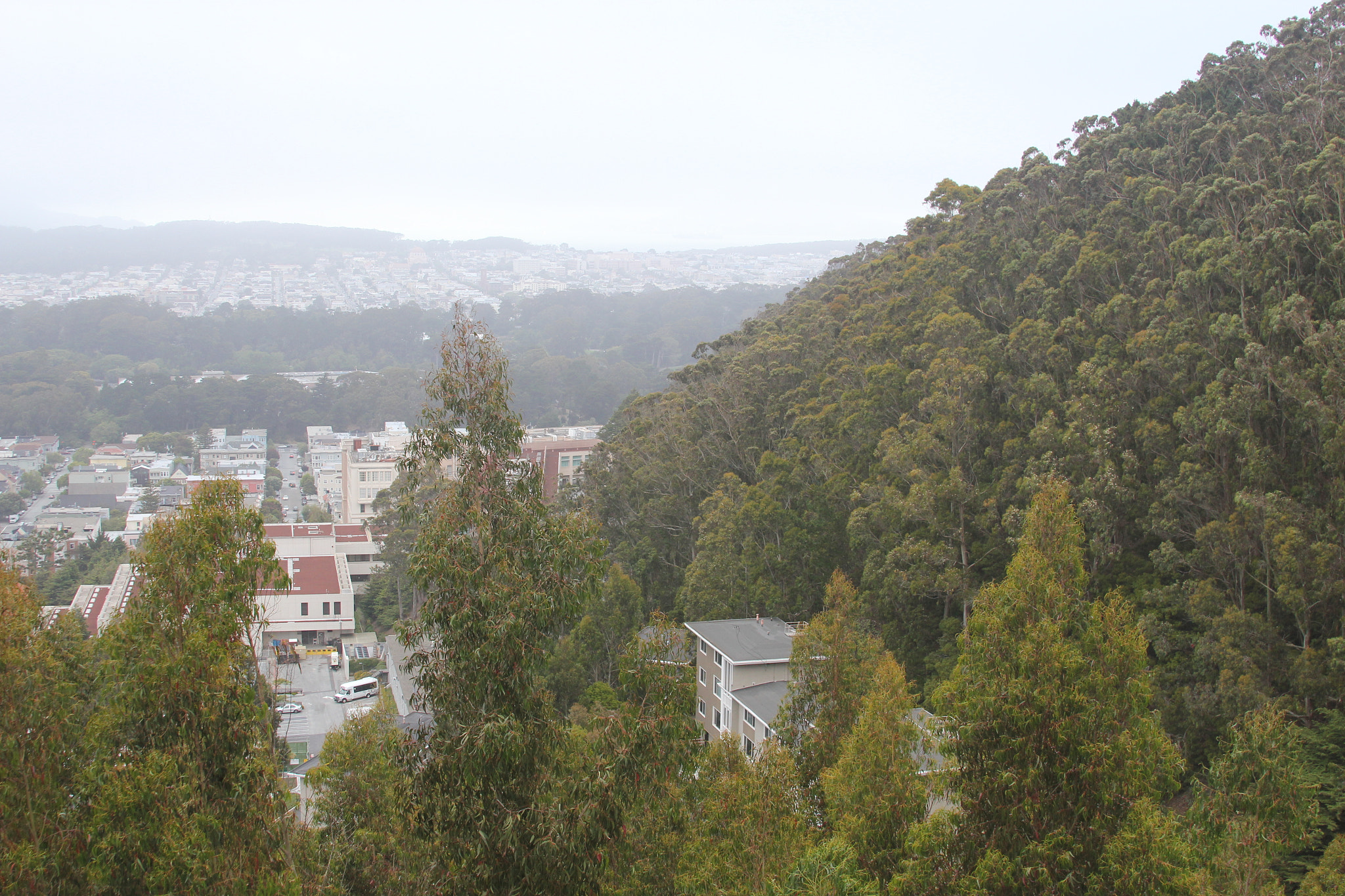Canon EF 28-135mm F3.5-5.6 IS USM sample photo. Img photography