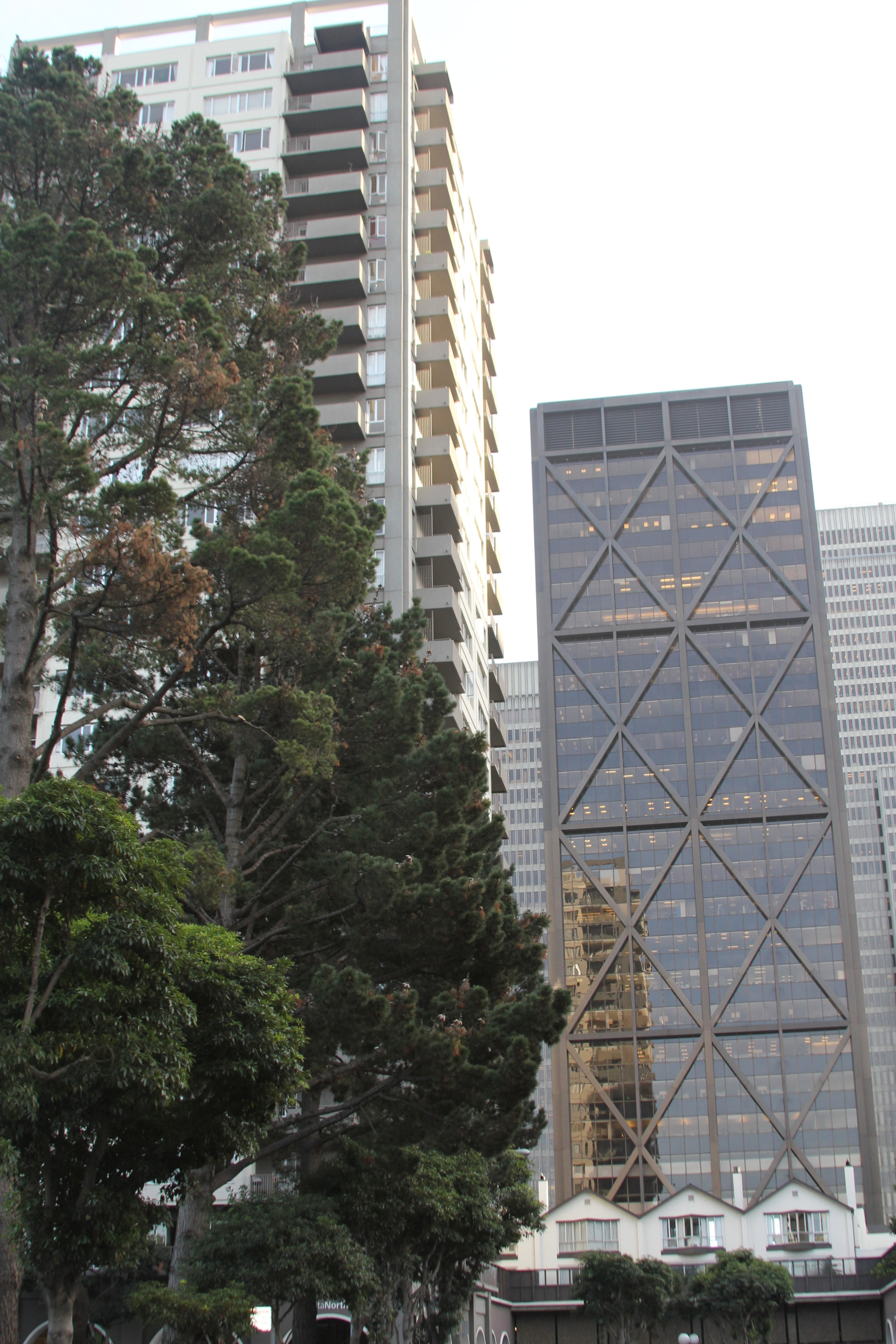 Canon EF 28-135mm F3.5-5.6 IS USM sample photo. Img photography