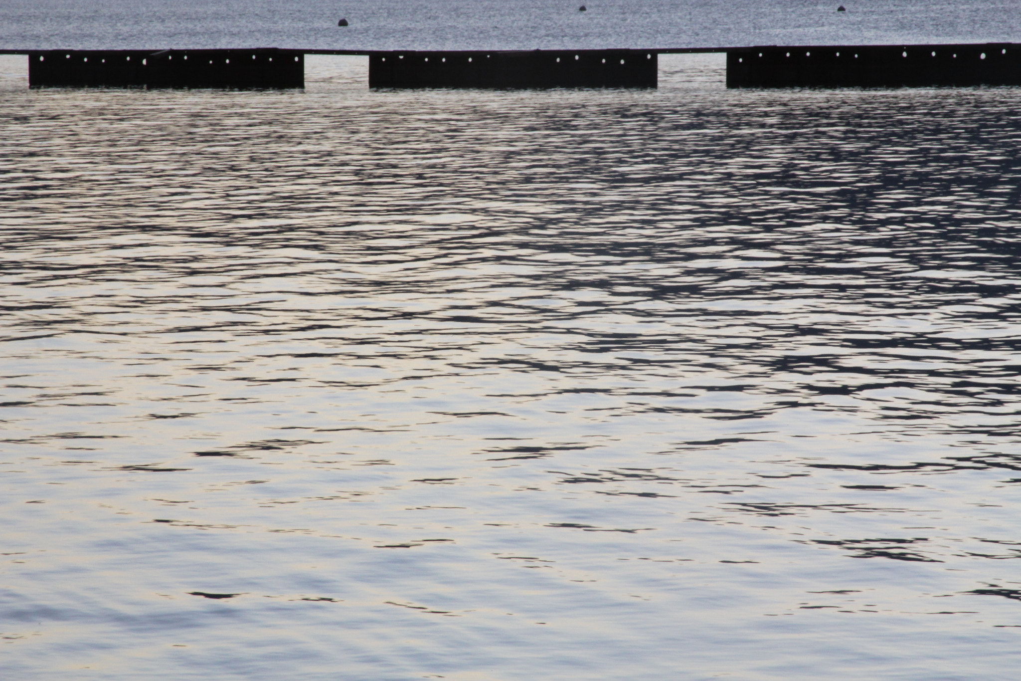 Canon EF 28-135mm F3.5-5.6 IS USM sample photo. Img photography