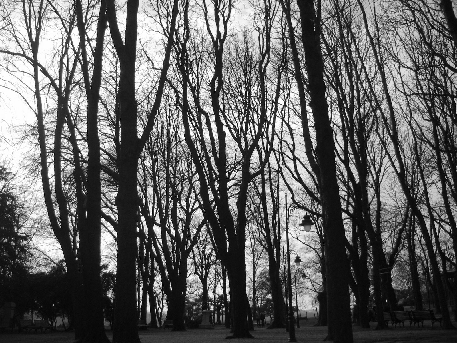 Canon DIGITAL IXUS I ZOOM sample photo. Winter in belgrade  photography