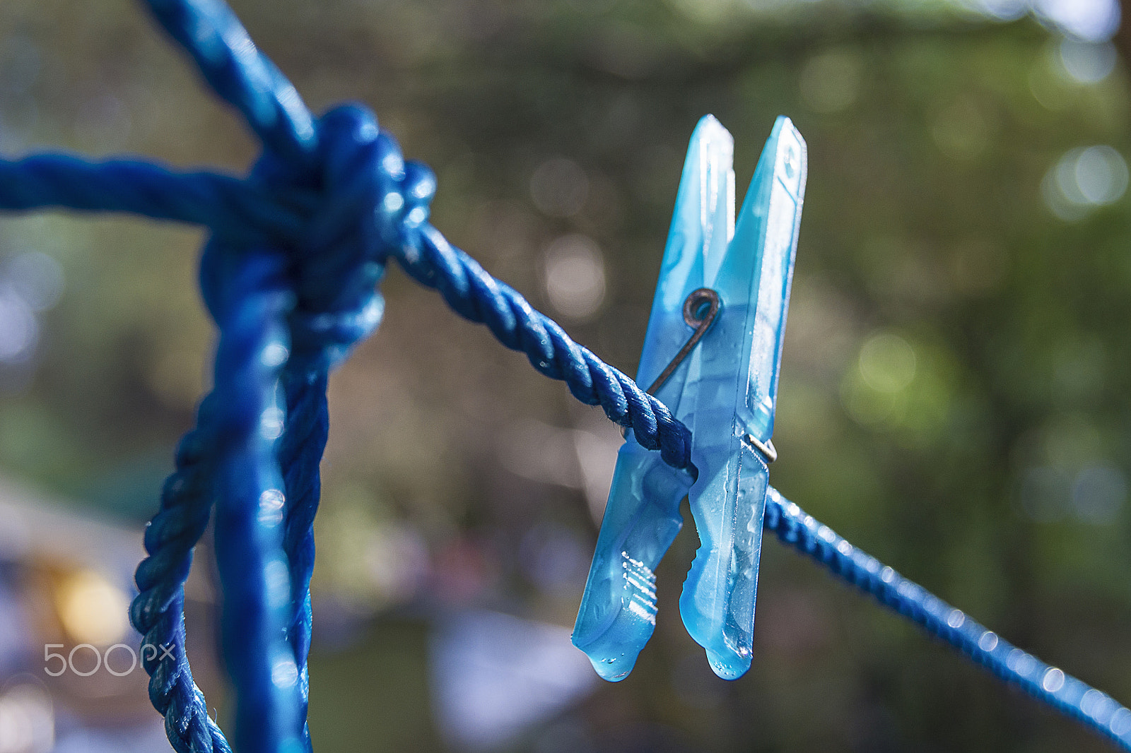 Sony Alpha DSLR-A500 + Sony DT 18-55mm F3.5-5.6 SAM sample photo. Clothespin on a clothes line photography