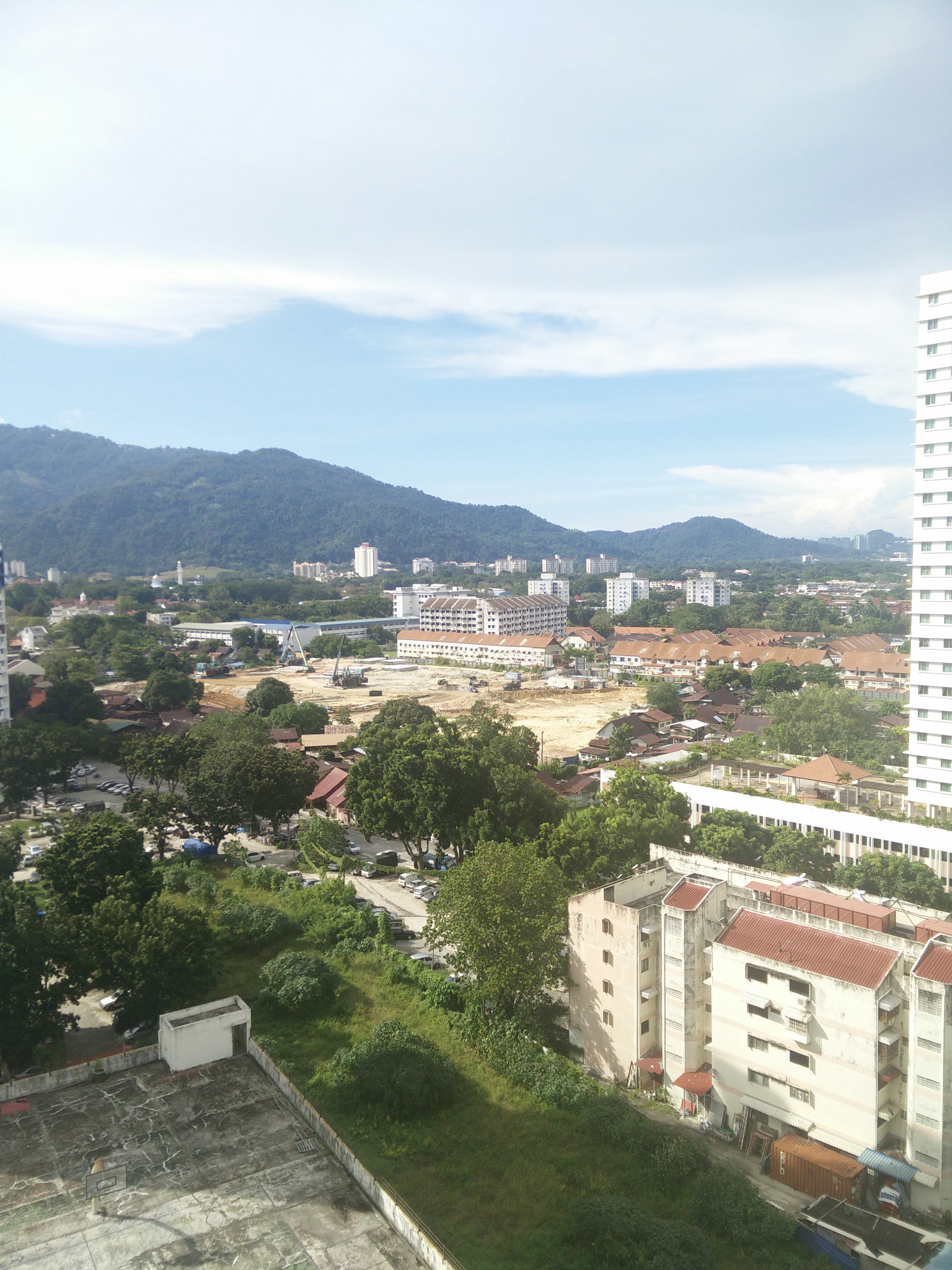 OPPO Find7 sample photo. Green among bricks photography