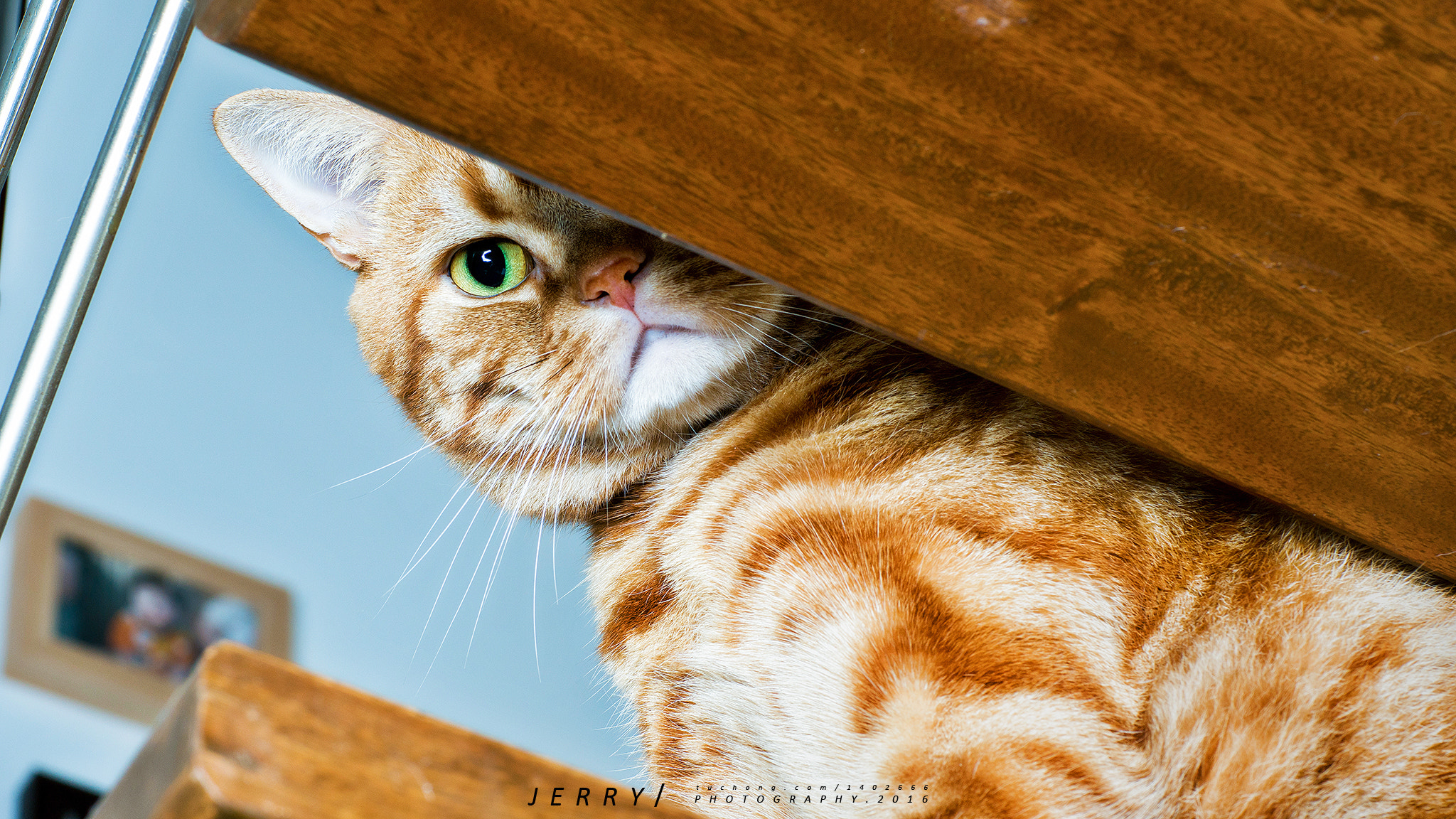 Canon EF 85mm F1.2L II USM sample photo. Watching photography