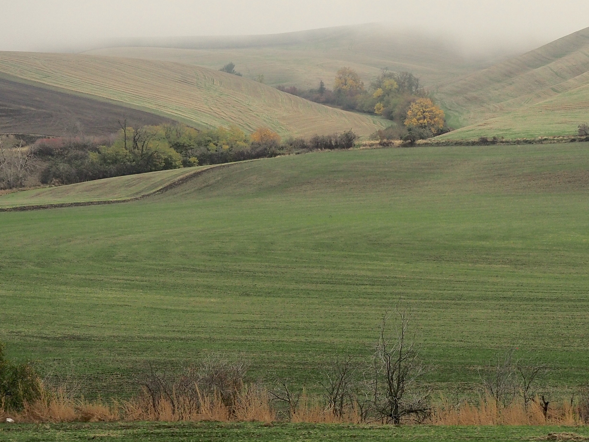 Olympus M.Zuiko Digital ED 12-40mm F2.8 Pro sample photo. Autumn fields photography