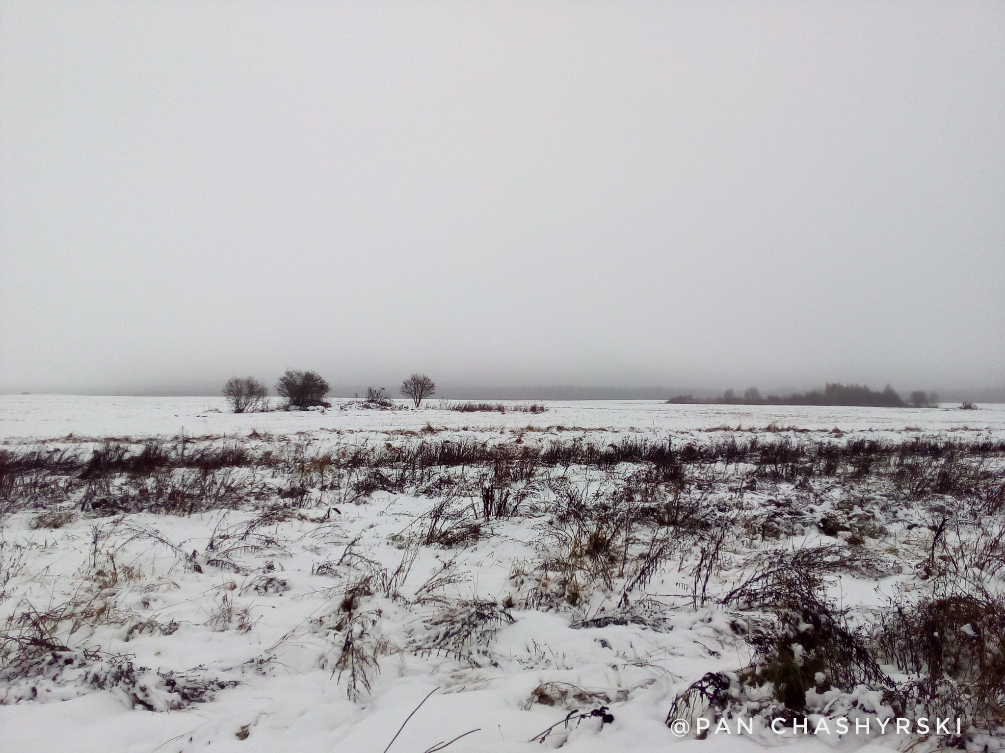 ASUS Zenfone Go (ASUS_Z00VD) sample photo