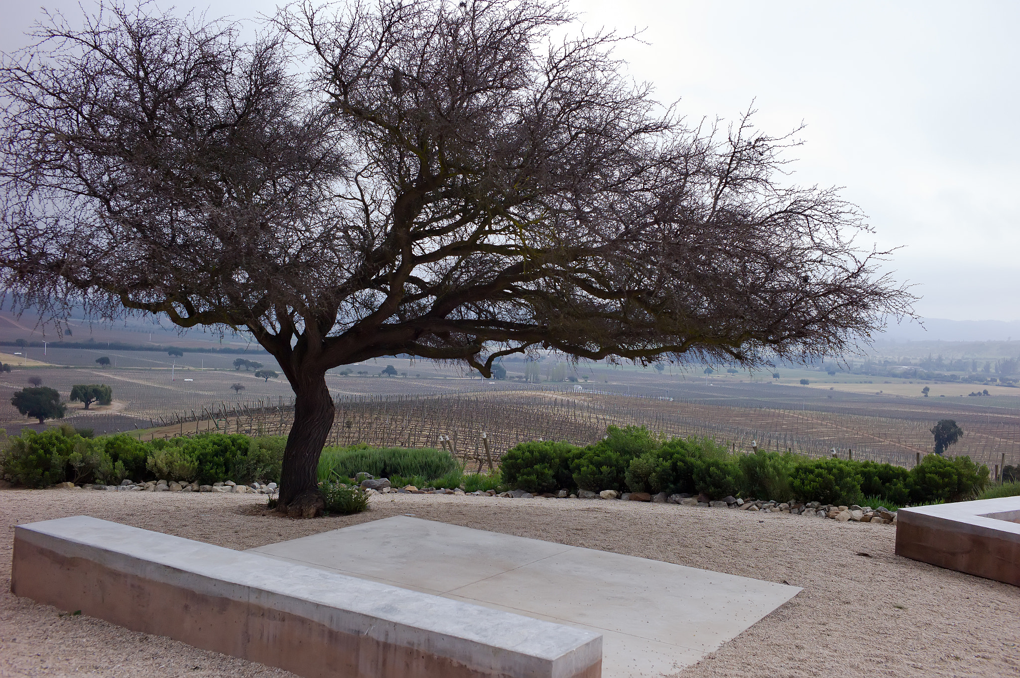 Leica M9 + Leica Summicron-M 35mm F2 ASPH sample photo. Chile photography