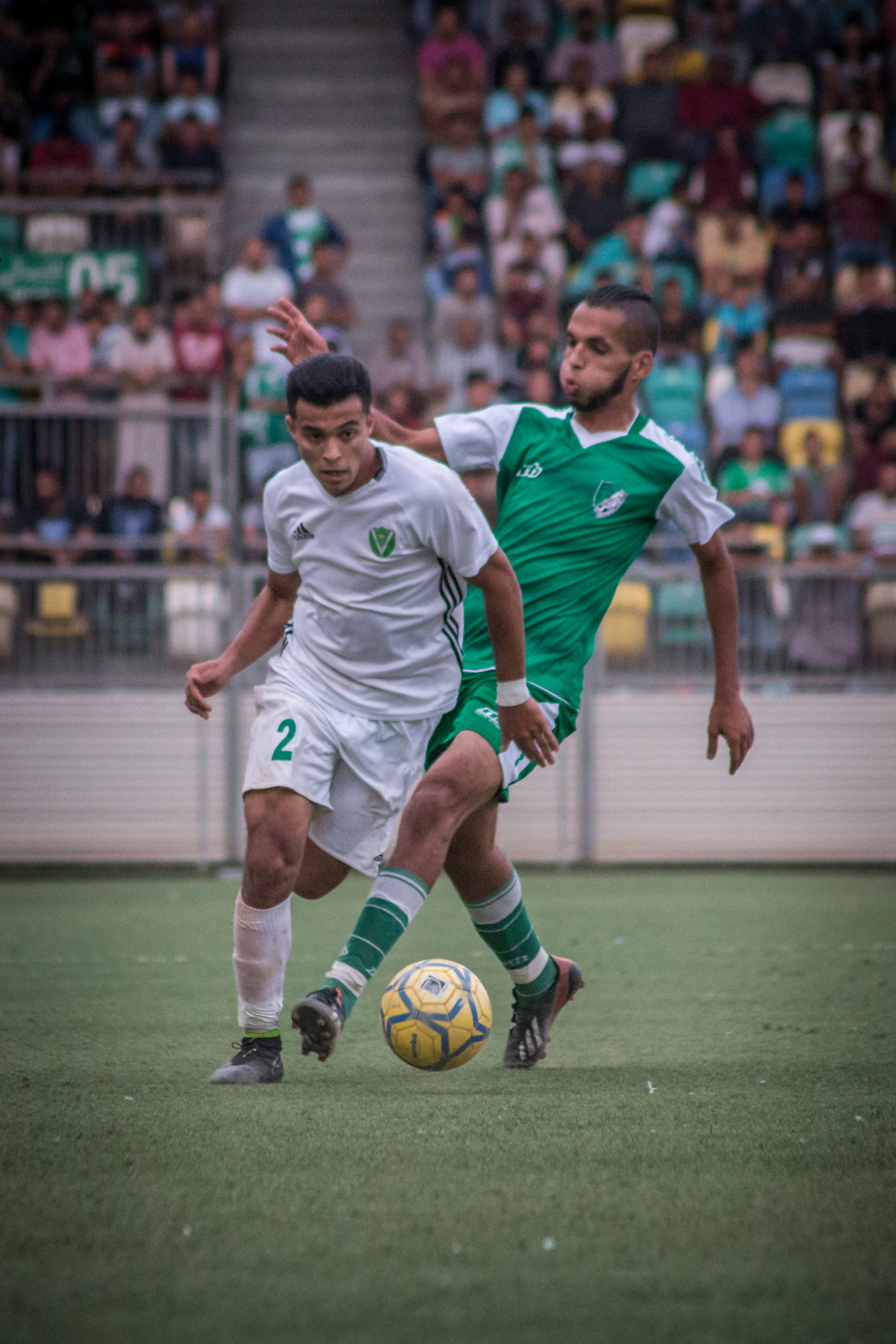 Canon EOS 70D + Sigma 50-200mm F4-5.6 DC OS HSM sample photo. Libyan cup photography