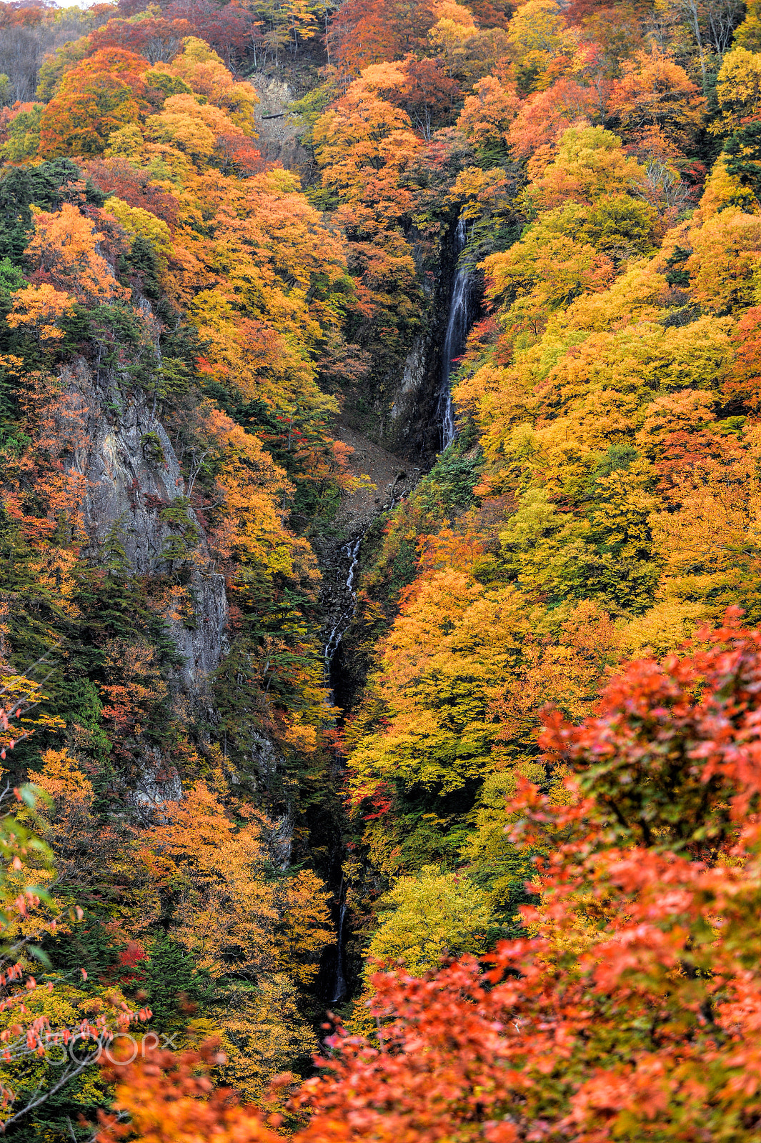 Sigma 70-200mm F2.8 EX DG Macro HSM II sample photo. Autumn waterfall photography