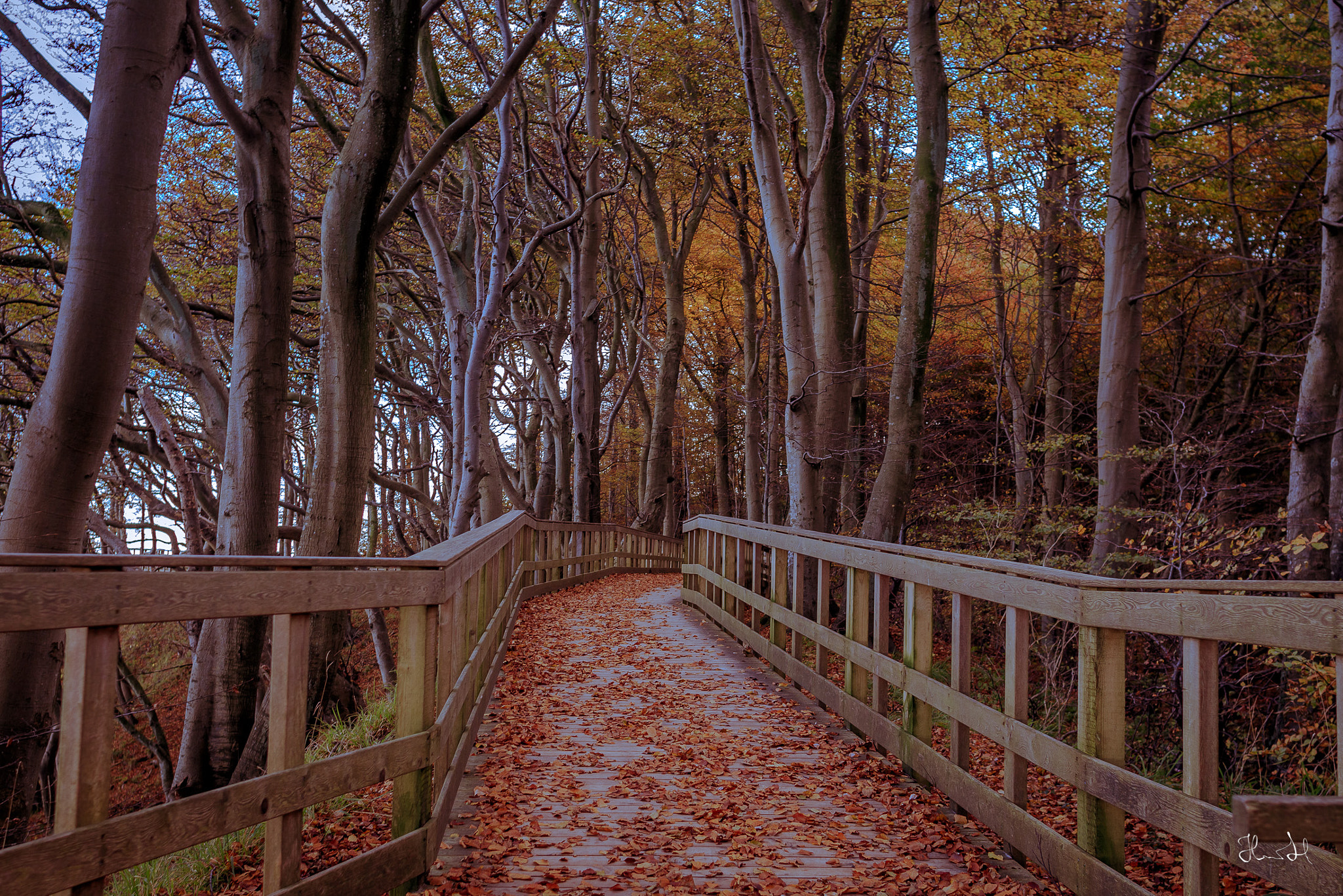 Canon EF 24mm f/1.4L sample photo. Mon island photography