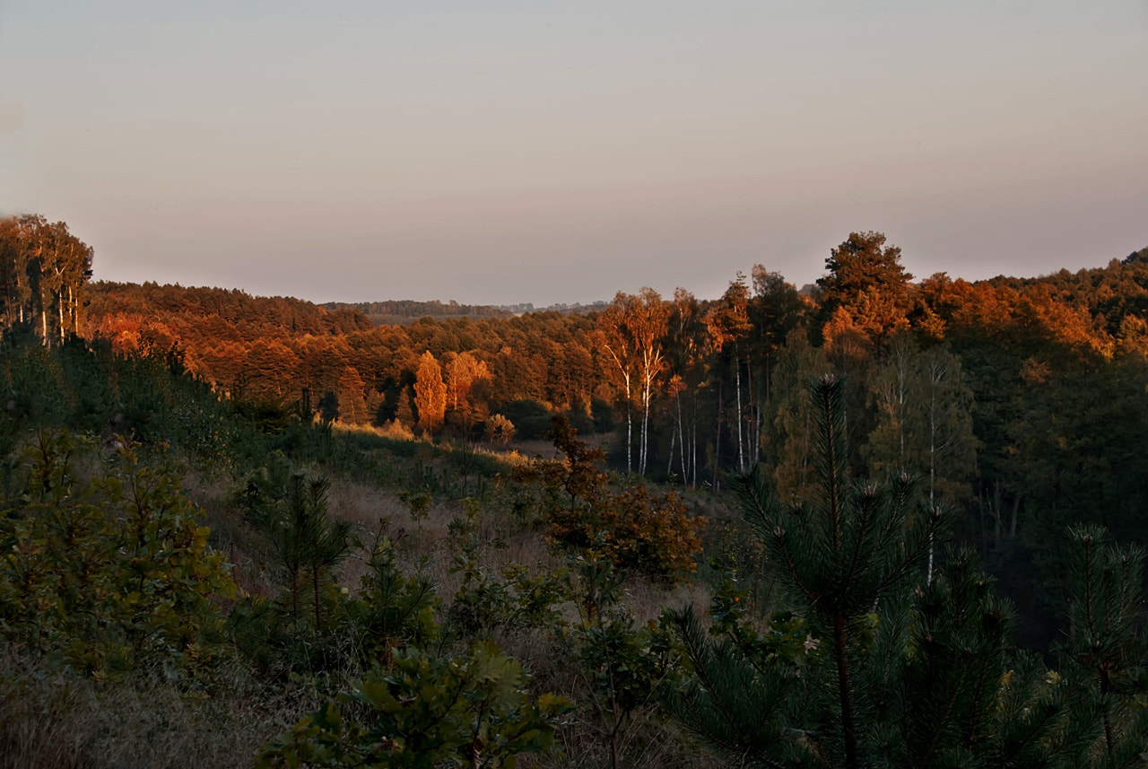 Sony Alpha DSLR-A300 sample photo. Na wzgórzu photography