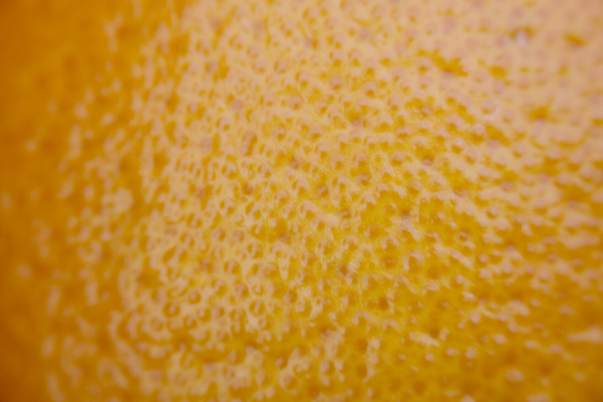 Canon EOS 5DS R + Canon EF 70-210mm f/4 sample photo. Orange claire photography