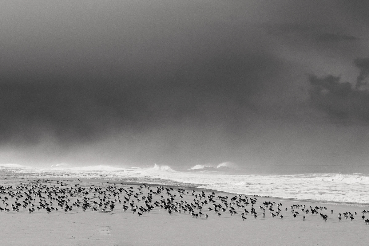 Nikon D600 sample photo. Sur la plage en hiver photography