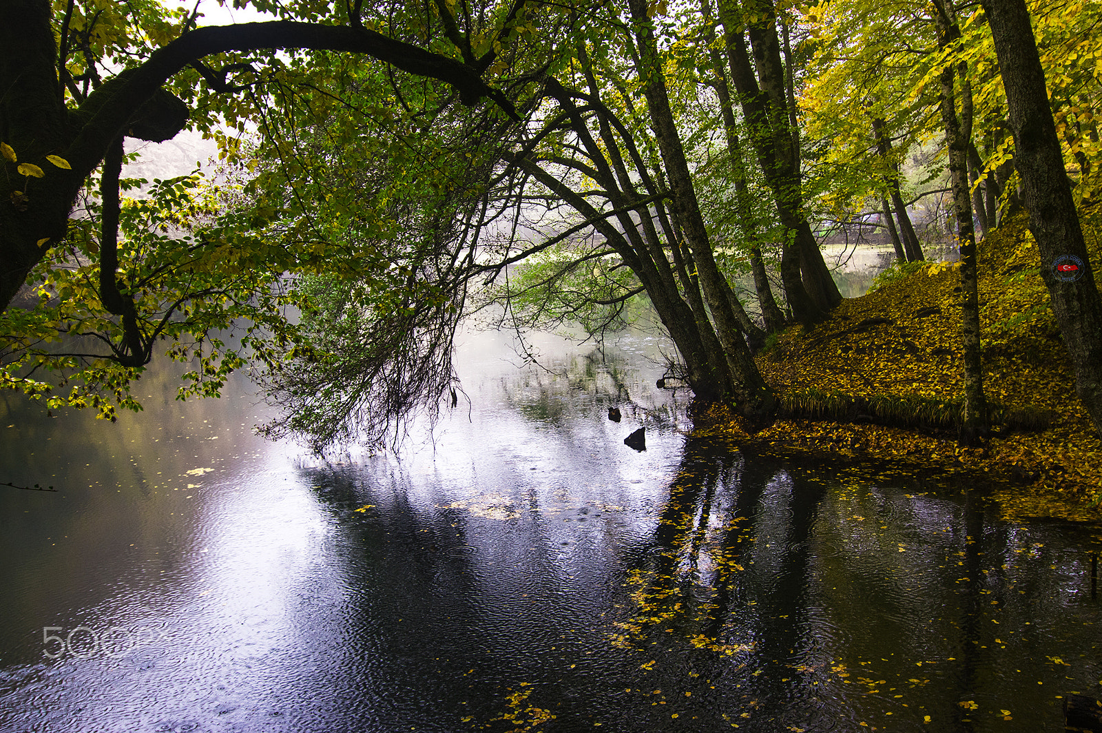 Pentax K-3 II sample photo. Dance of nature photography