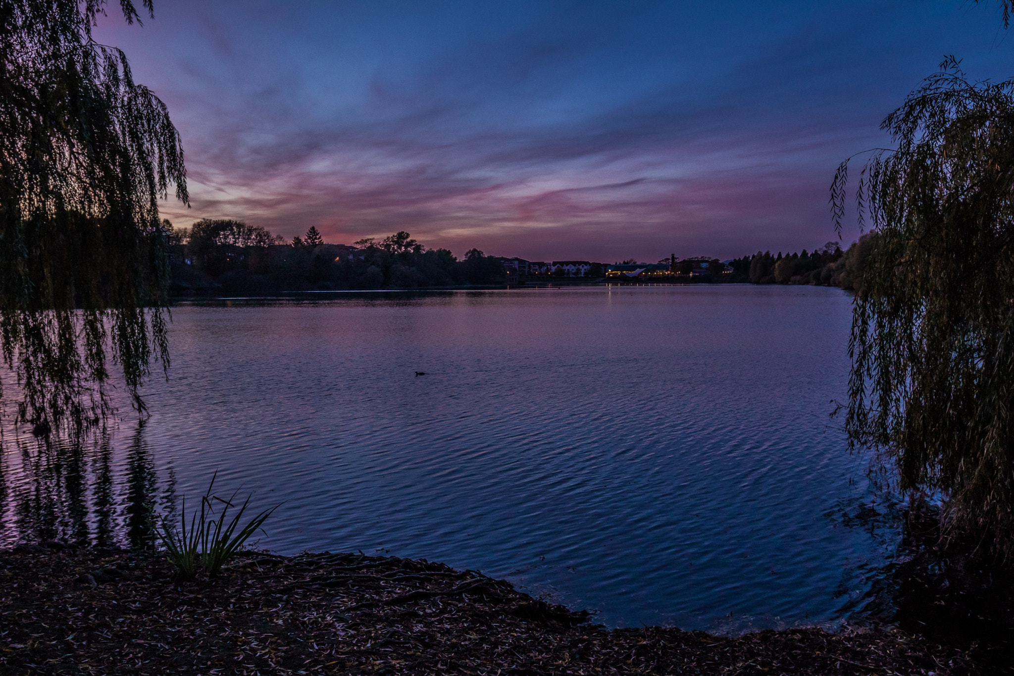Canon EF 16-35mm F4L IS USM sample photo. Seepark photography