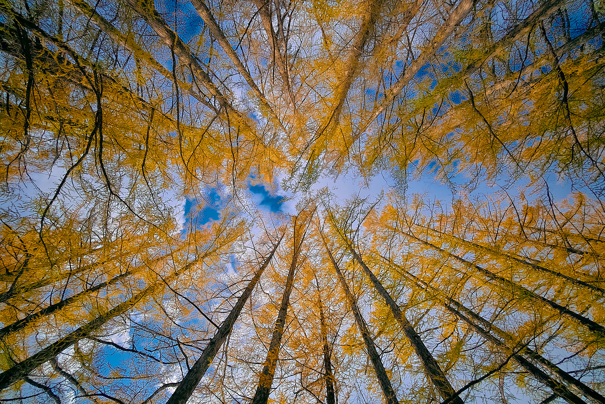 E 10mm F5.6 sample photo. Road to sky 5 photography