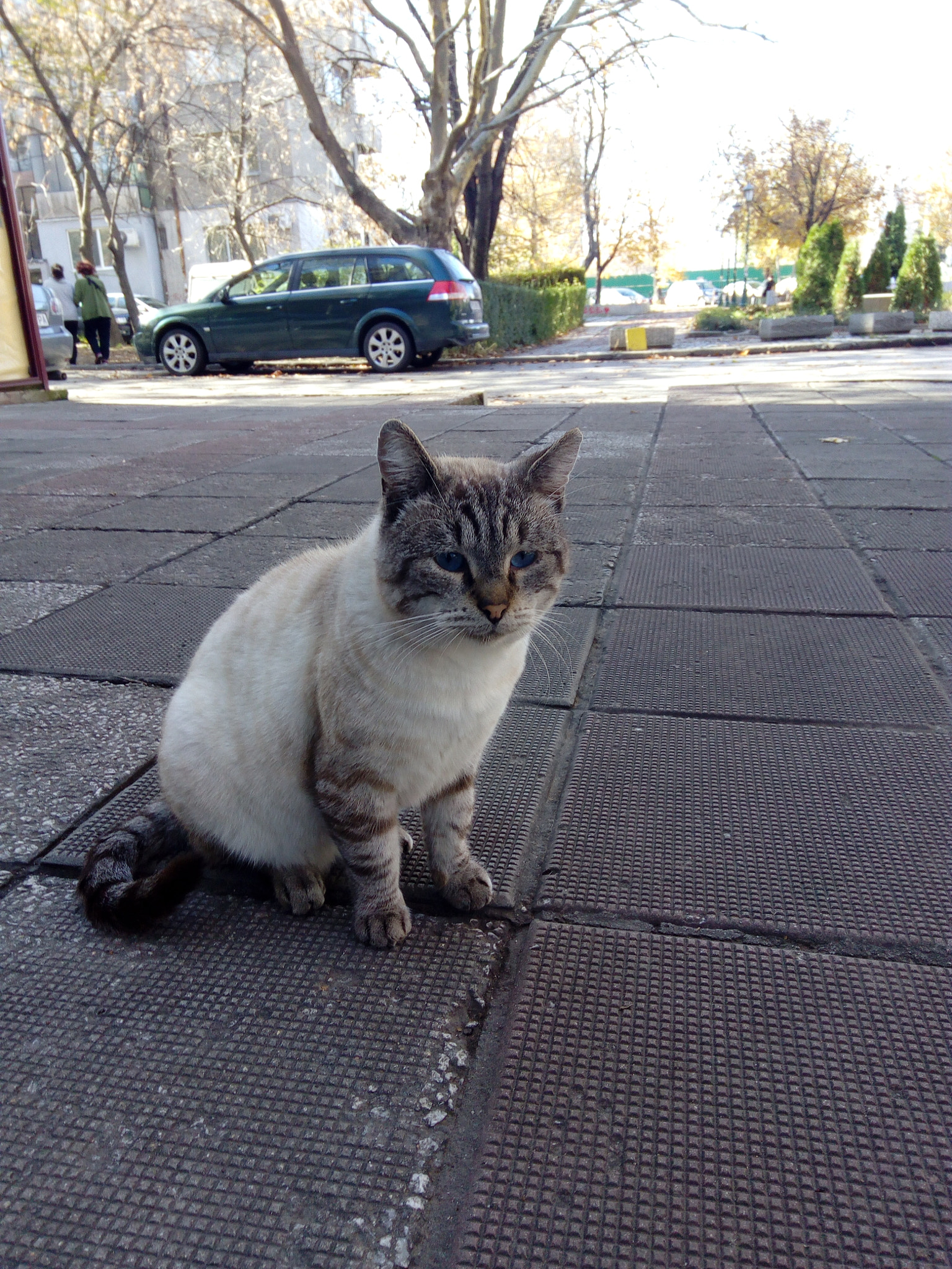 HUAWEI Y6 PRO sample photo