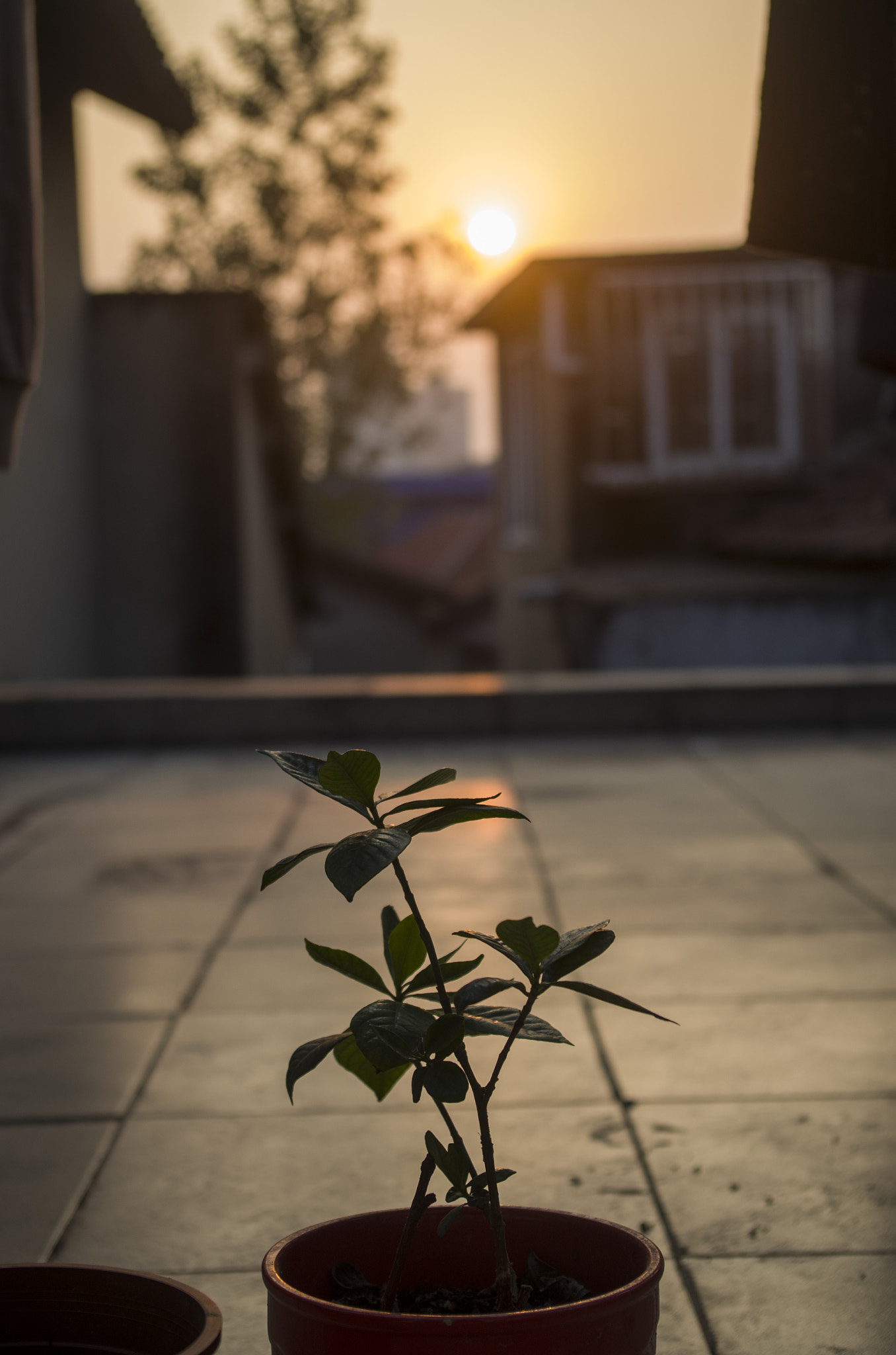 Pentax smc DA 18-55mm F3.5-5.6 AL WR sample photo. Sunaet photography
