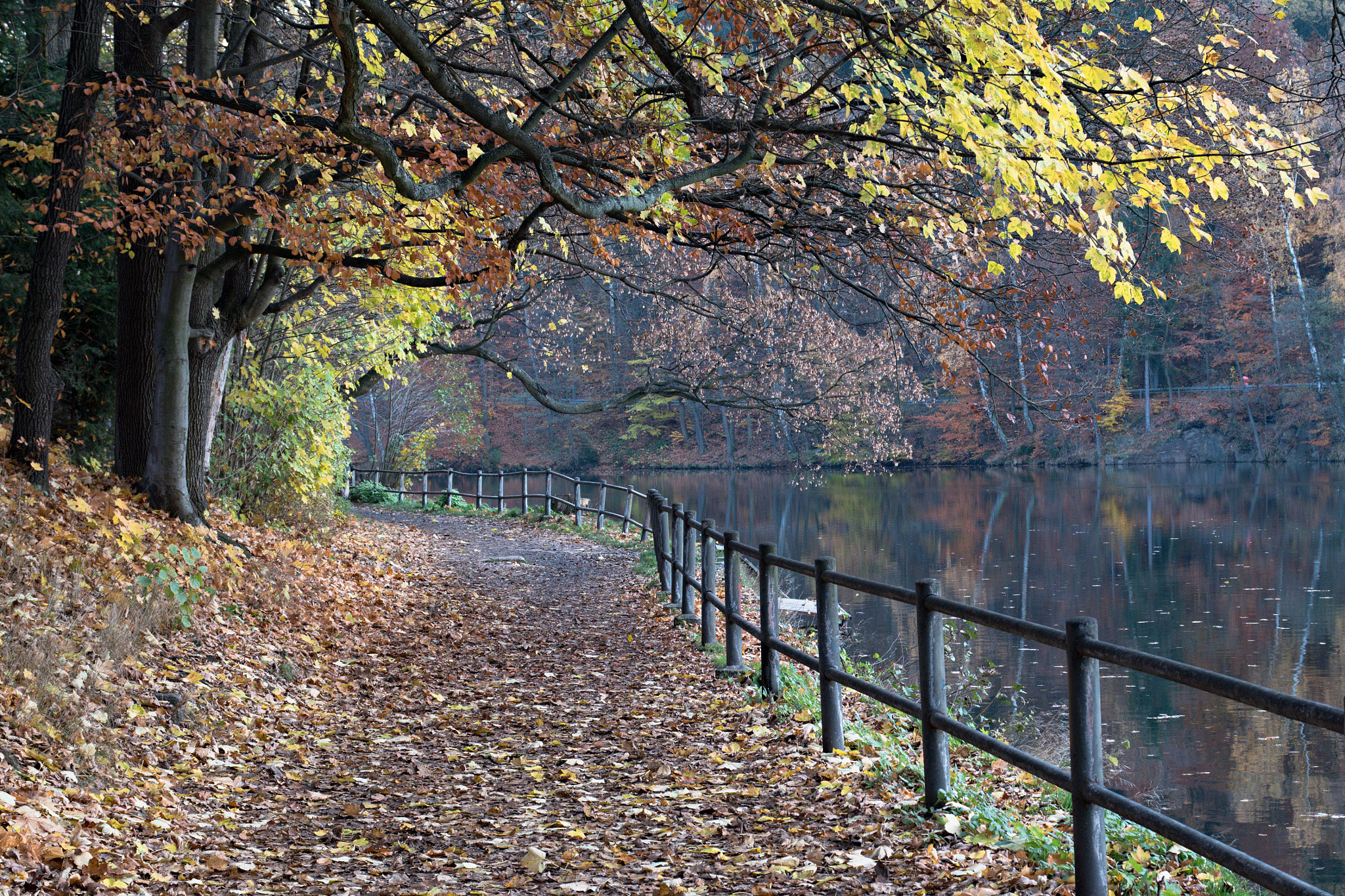 Sigma 17-70mm F2.8-4 DC Macro OS HSM | C sample photo. Autumn_liberec photography