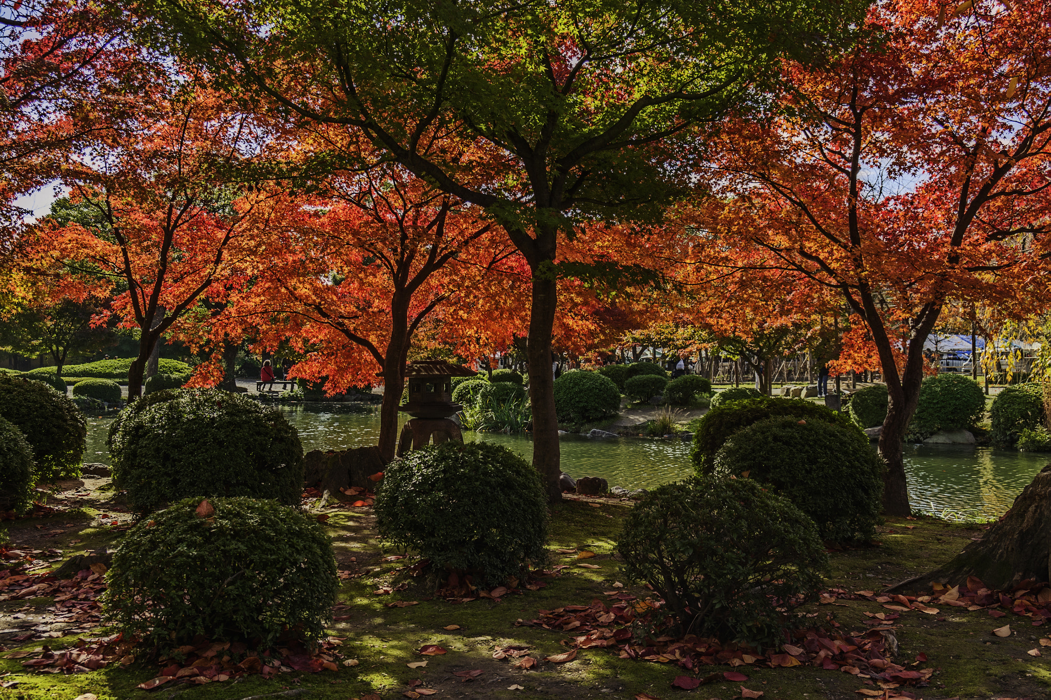 Pentax smc DA 17-70mm F4.0 AL (IF) SDM sample photo. Kyoto photography