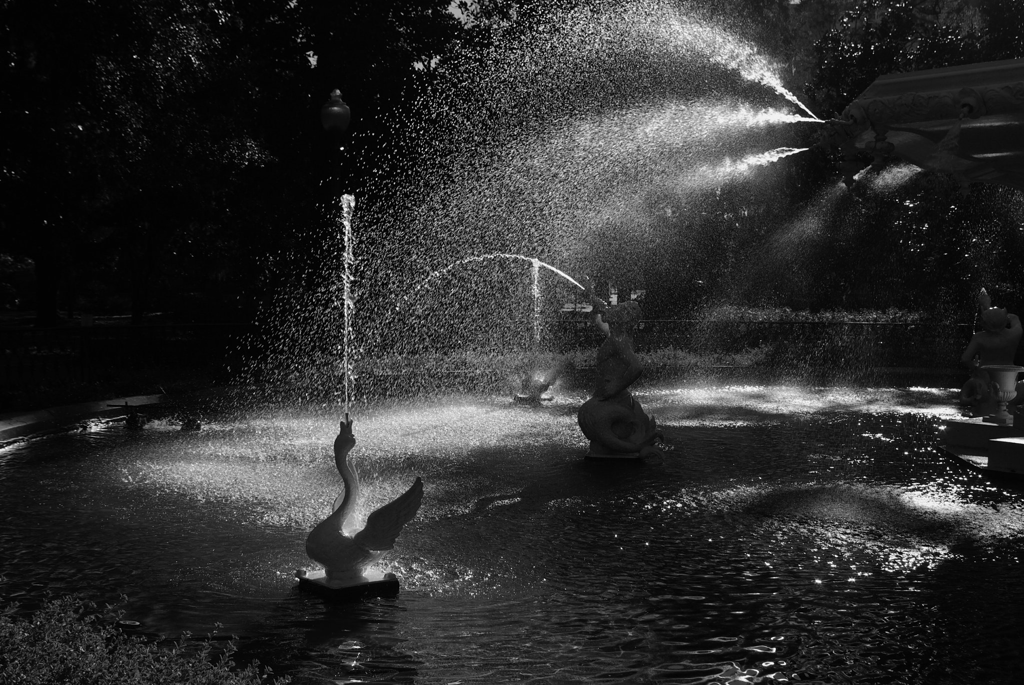Pentax K10D sample photo. Forsyth park fountain backlit photography