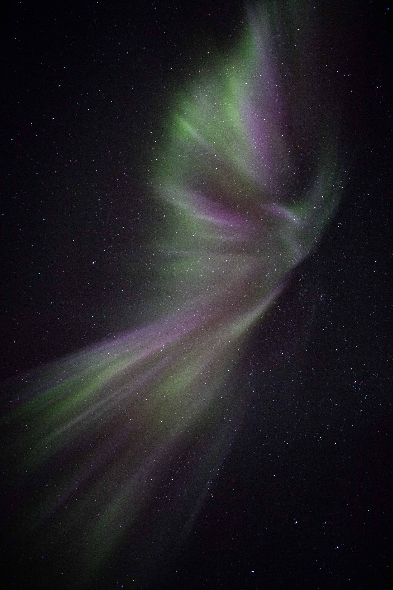 Canon EOS 5DS + Canon EF 24mm f/1.4L sample photo. An aurora angel appears near tromso in norway photography