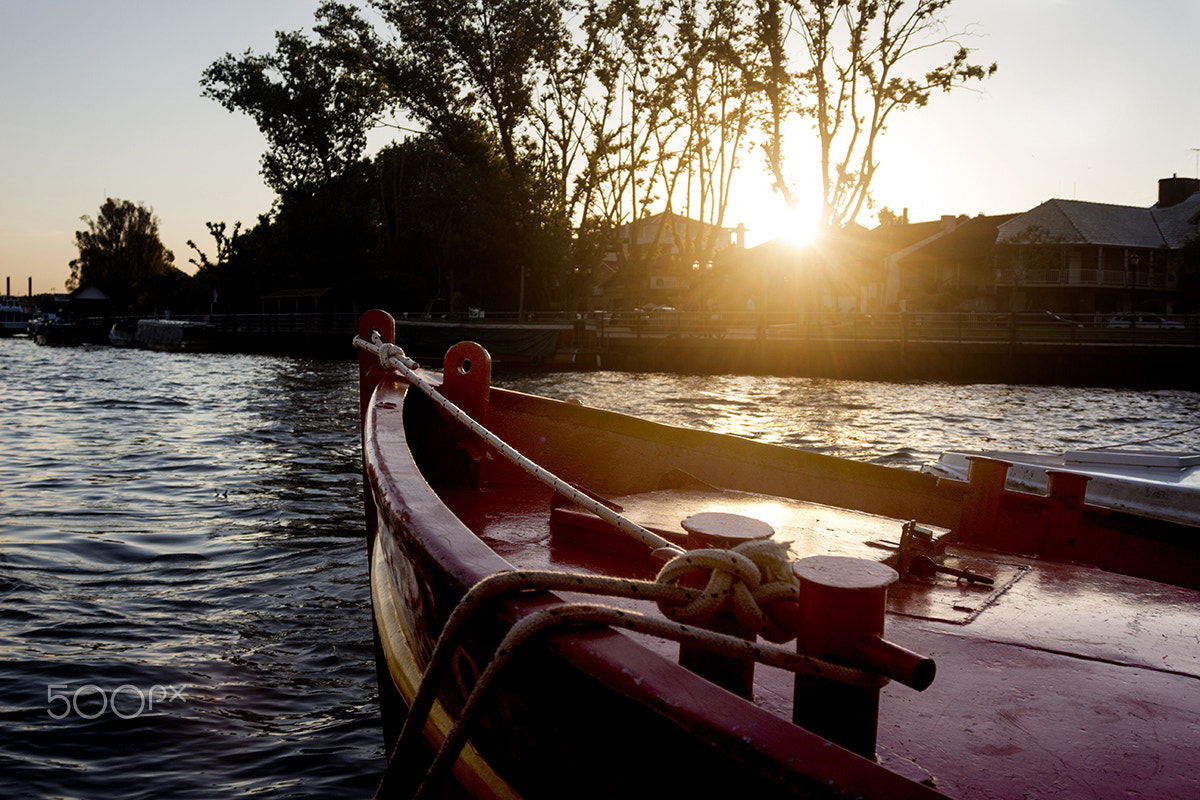 Canon EF 22-55mm f/4-5.6 USM sample photo. Tigre en rojo photography