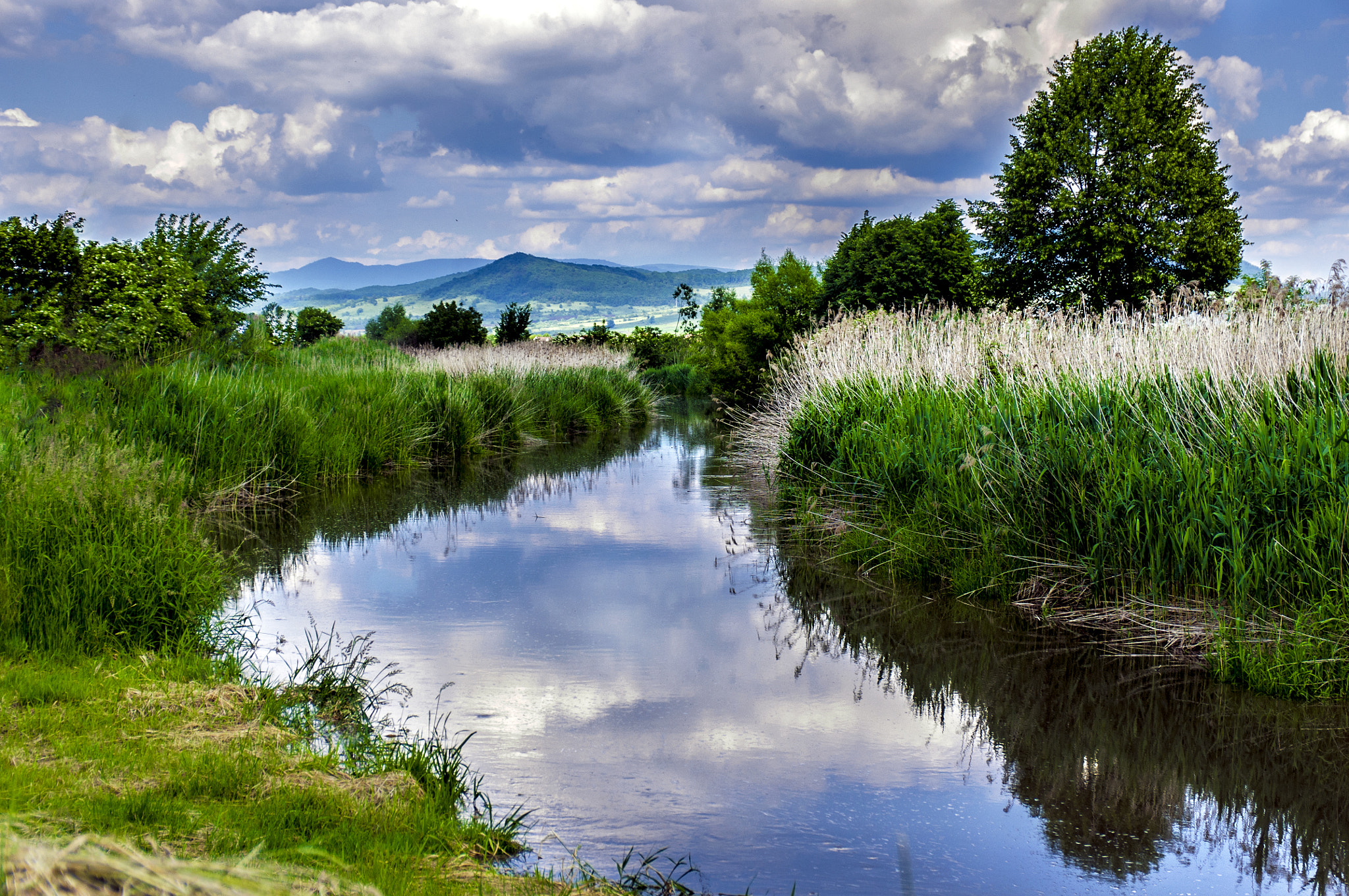 Pentax K-x sample photo. Along the creek photography