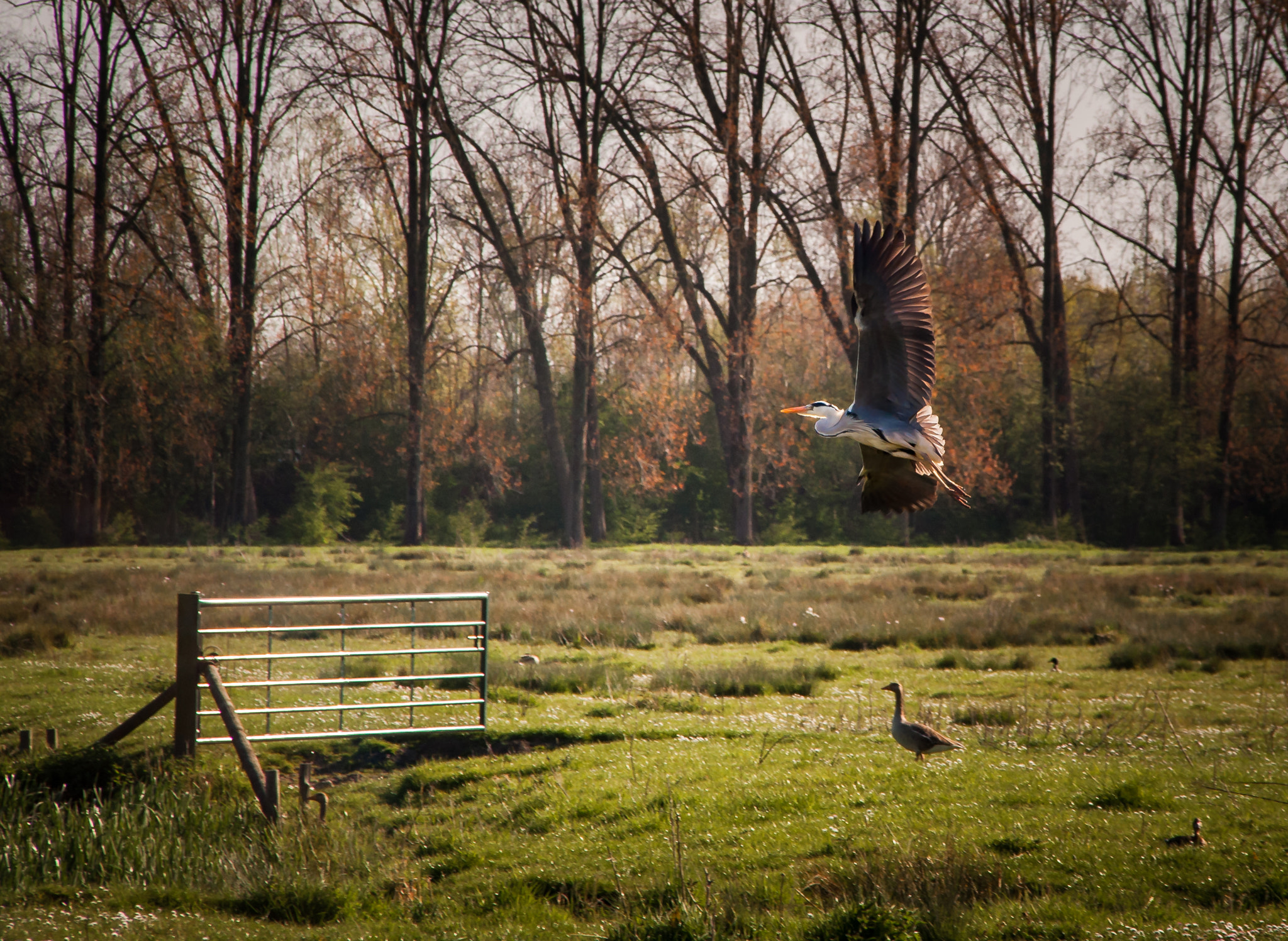 Nikon D5000 + Sigma 18-200mm F3.5-6.3 DC sample photo. Too close for comfort photography